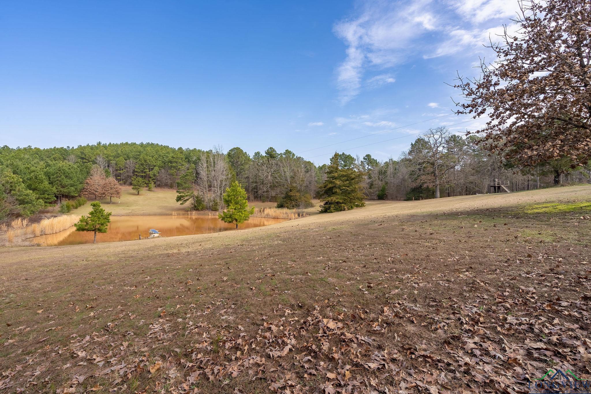 1030 County Road 2215, Daingerfield, Texas image 38