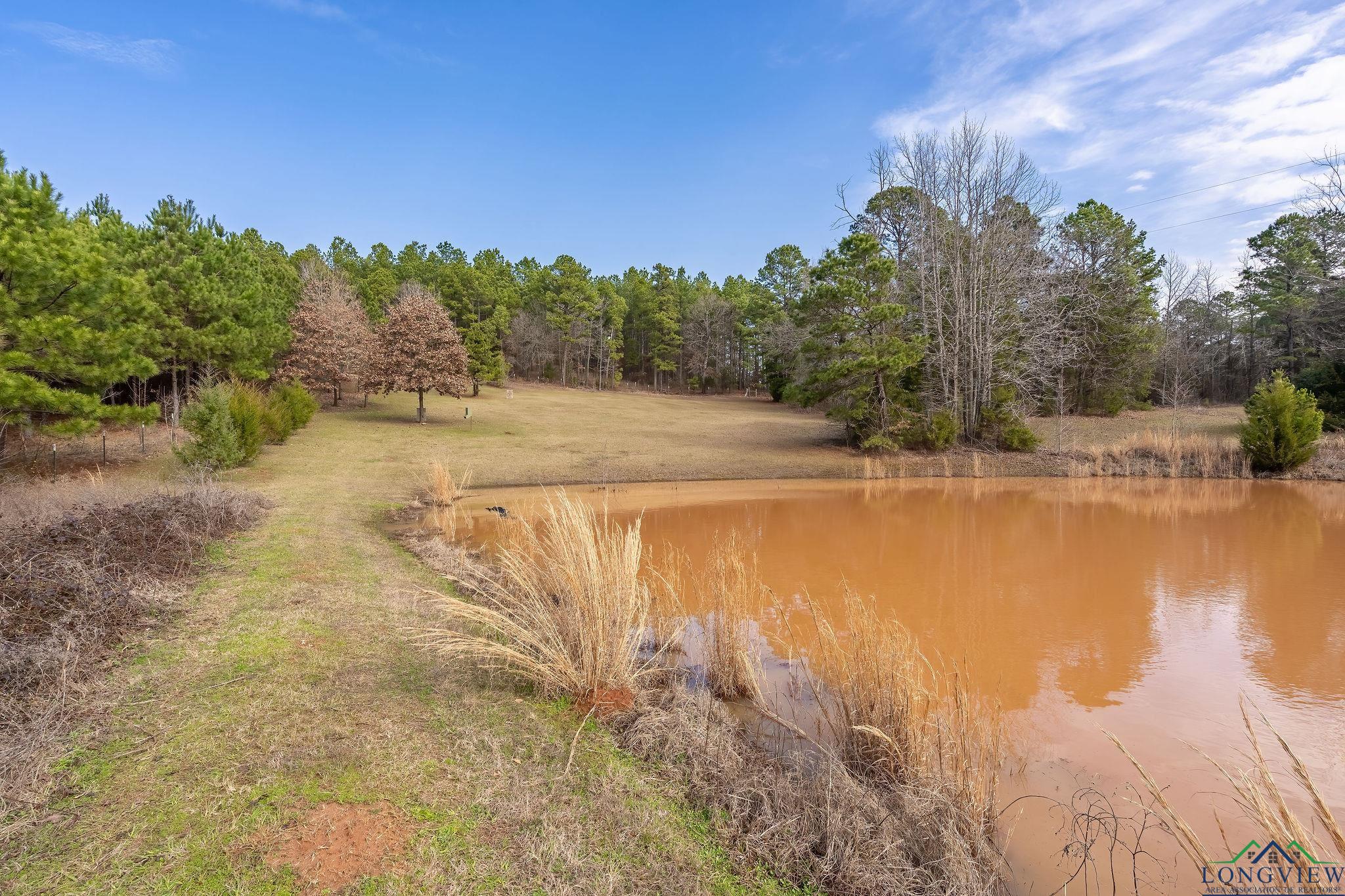 1030 County Road 2215, Daingerfield, Texas image 40