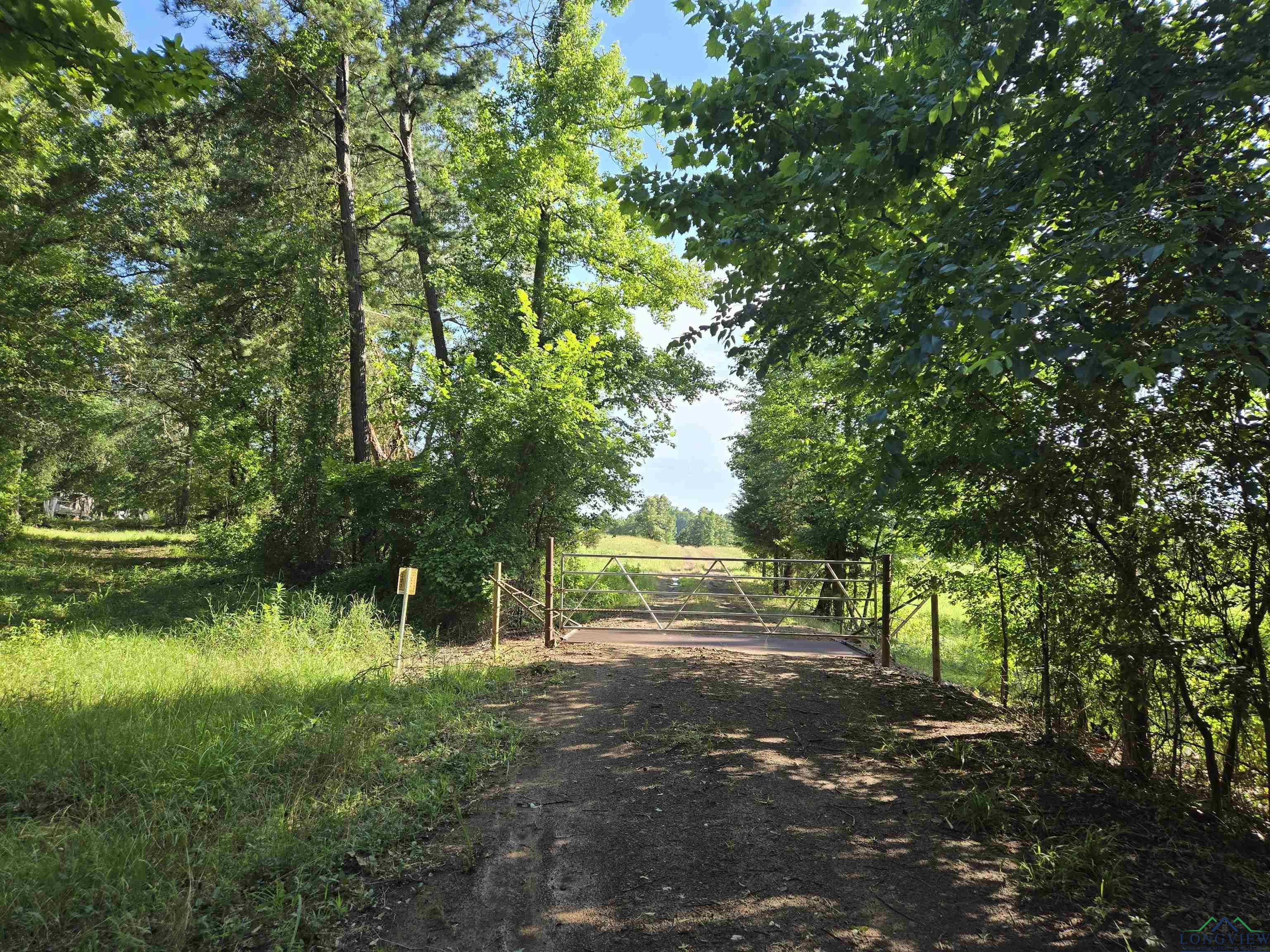 TBD Private Road 4079, Gilmer, Texas image 3