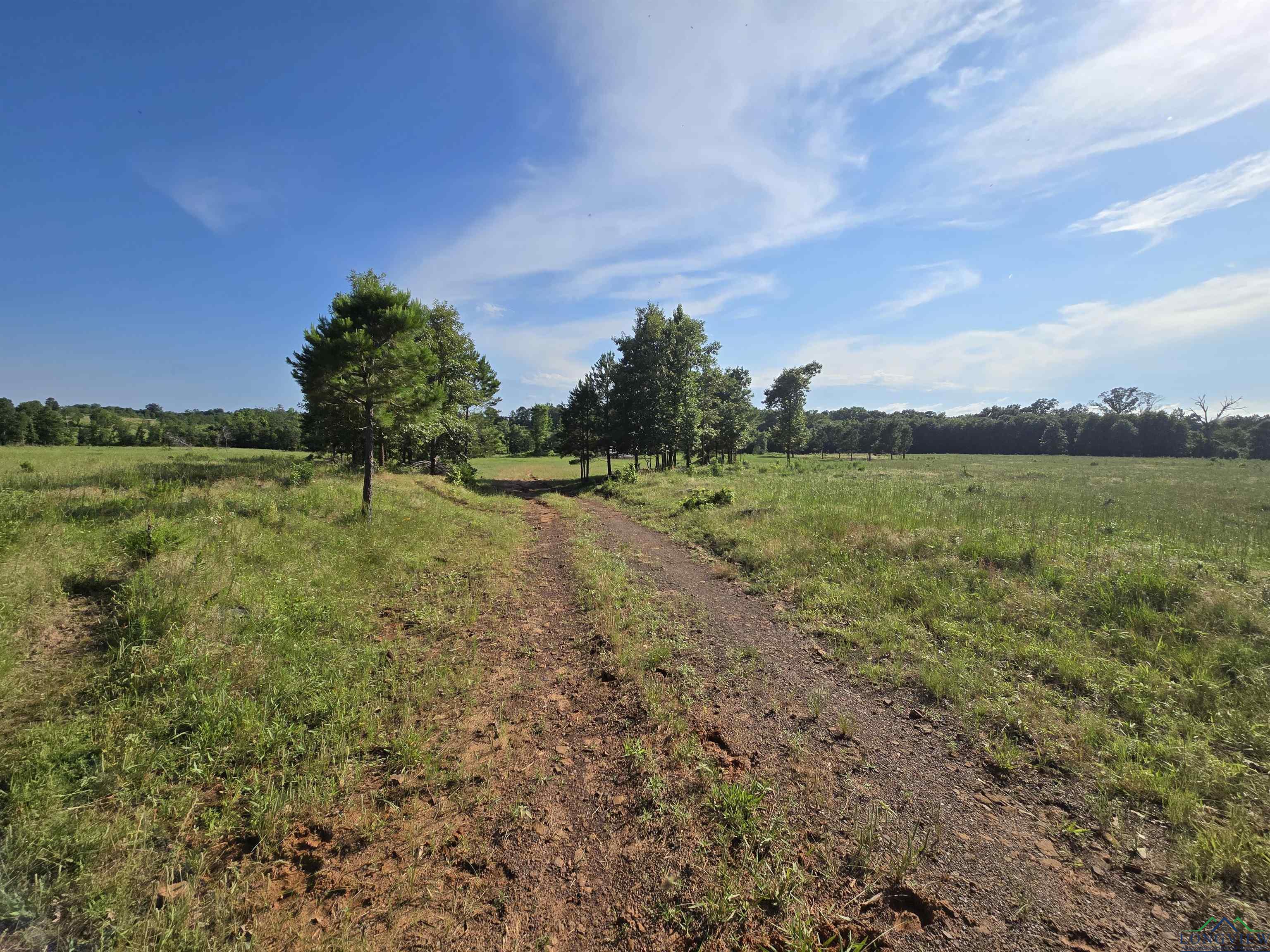 TBD Private Road 4079, Gilmer, Texas image 9