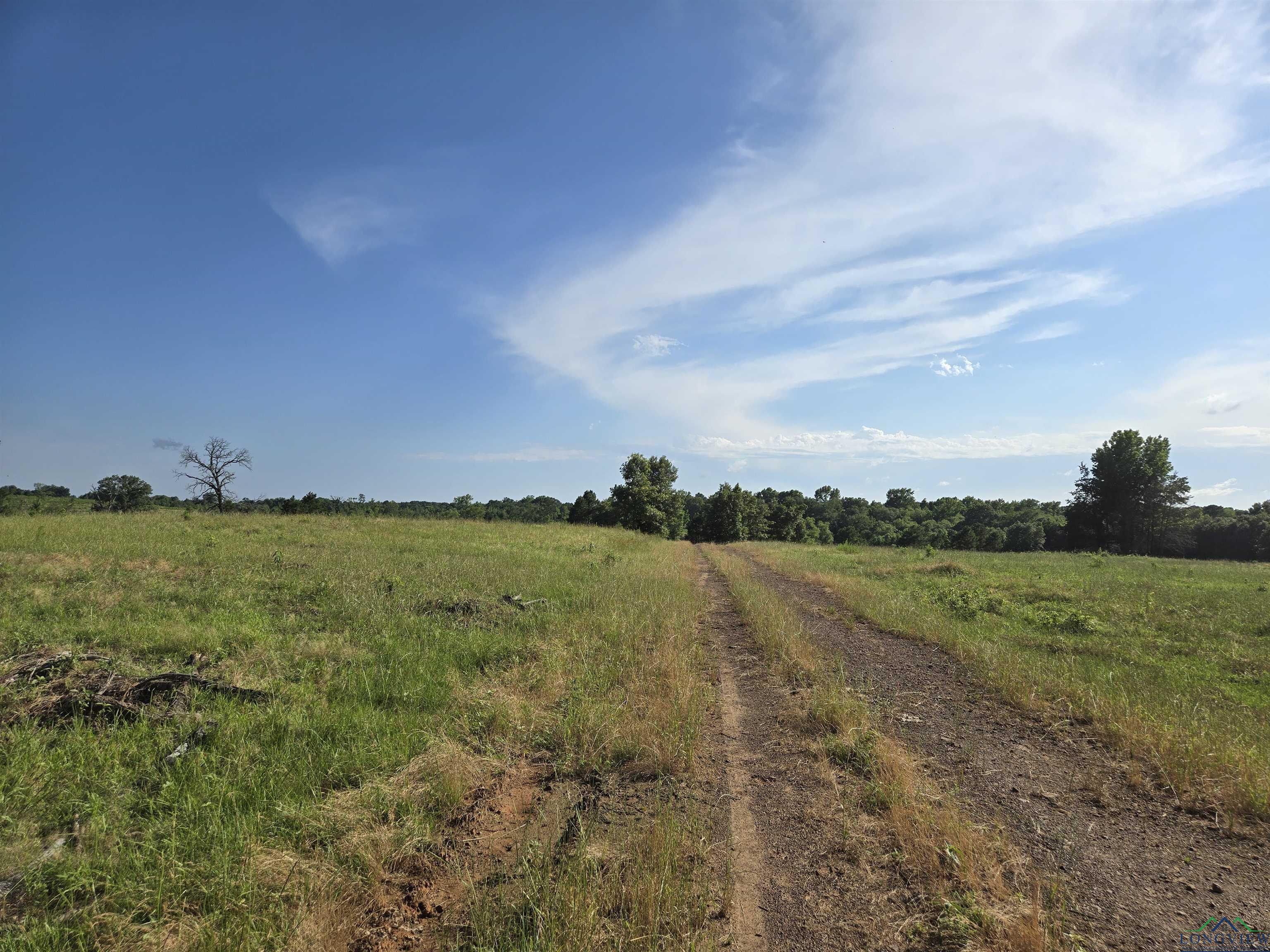 TBD Private Road 4079, Gilmer, Texas image 5