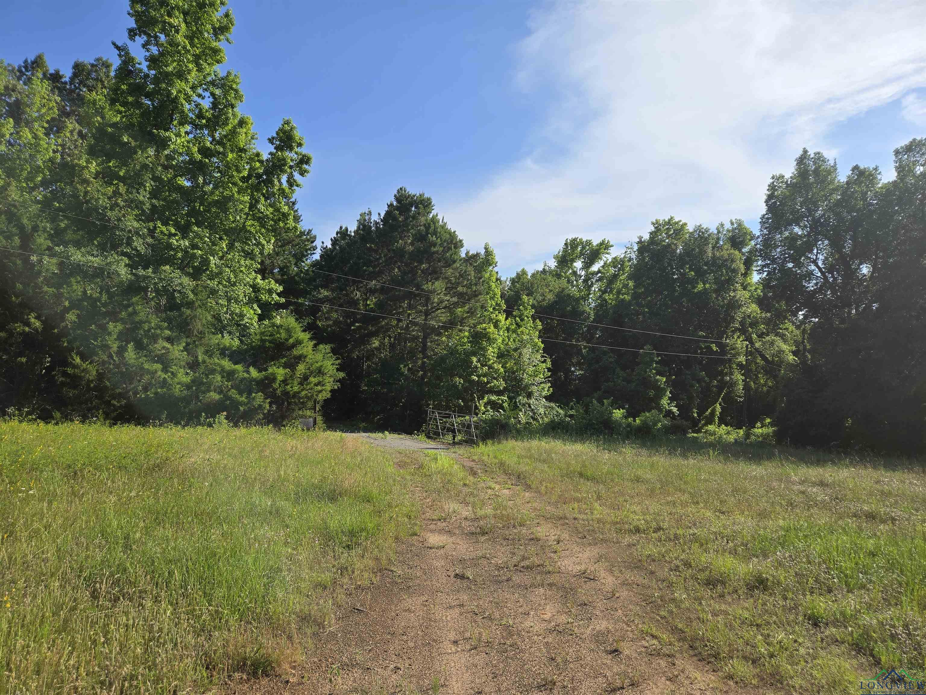 TBD Private Road 4079, Gilmer, Texas image 2