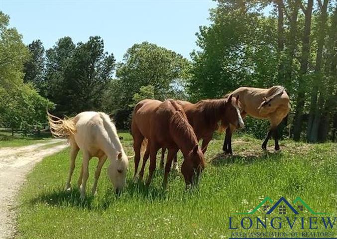 23688 County Rd 448, Lindale, Texas image 48