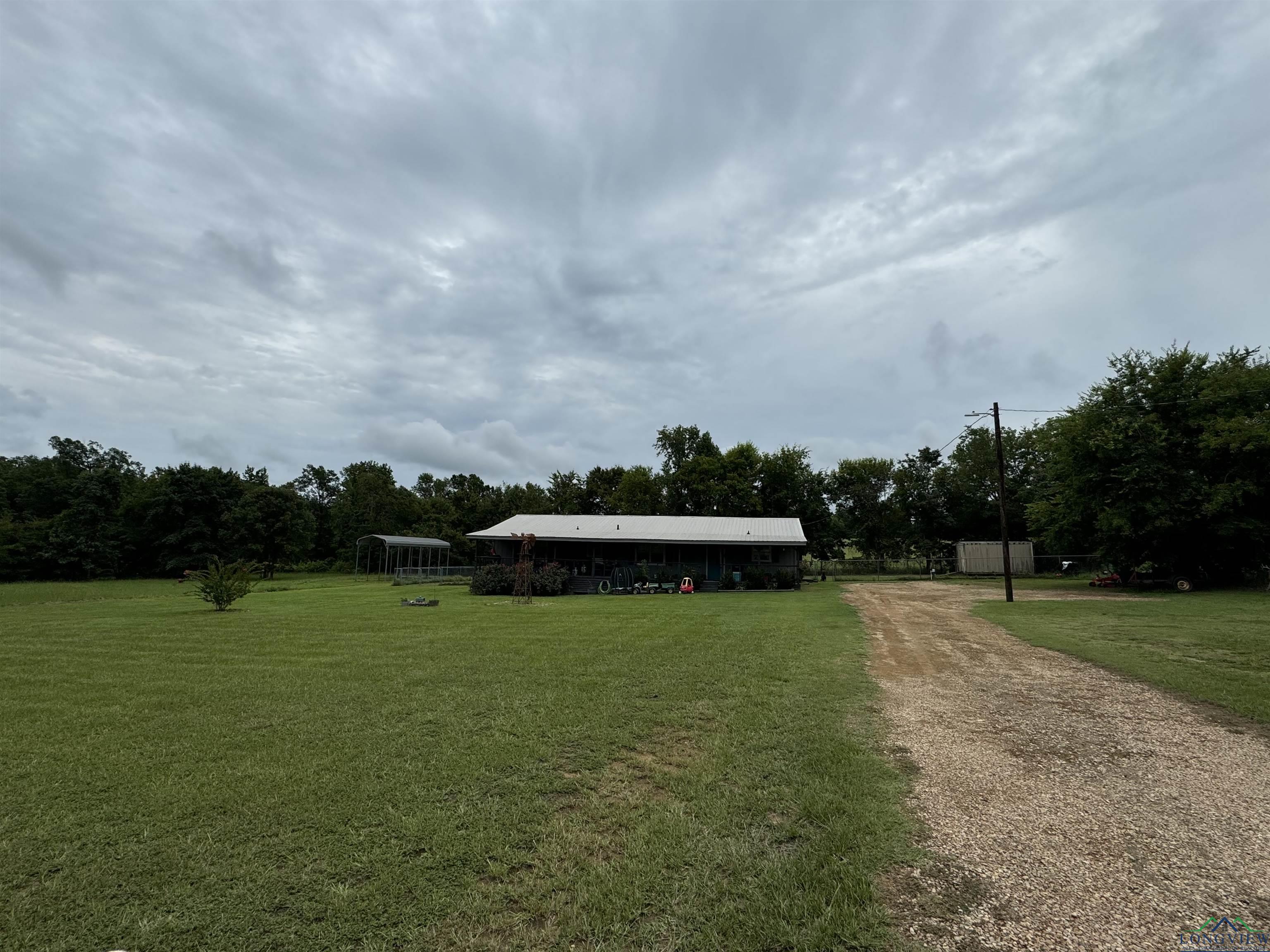 4912 Zinnia Rd, Diana, Texas image 1