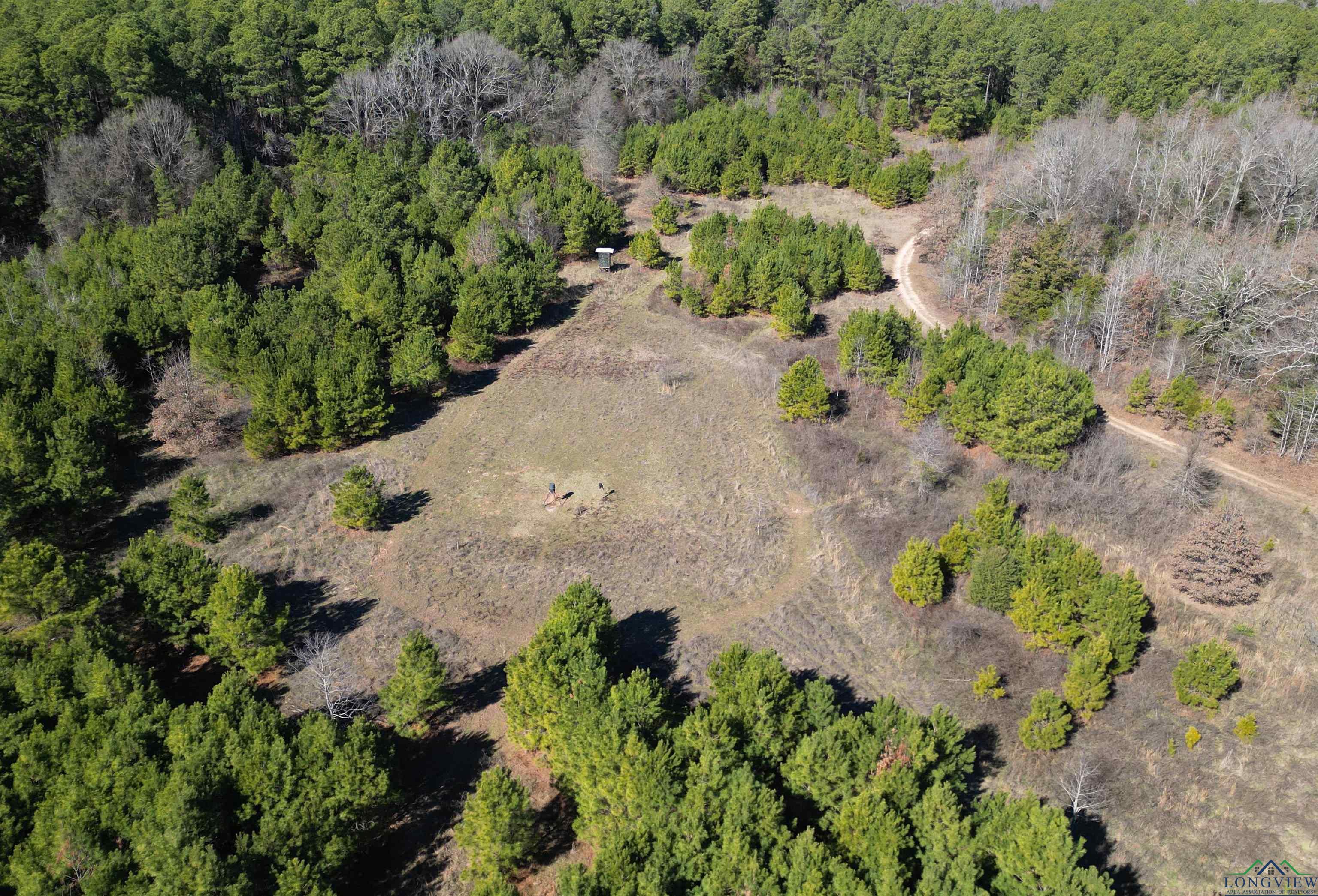 TBD Cr 3217, Atlanta, Texas image 13