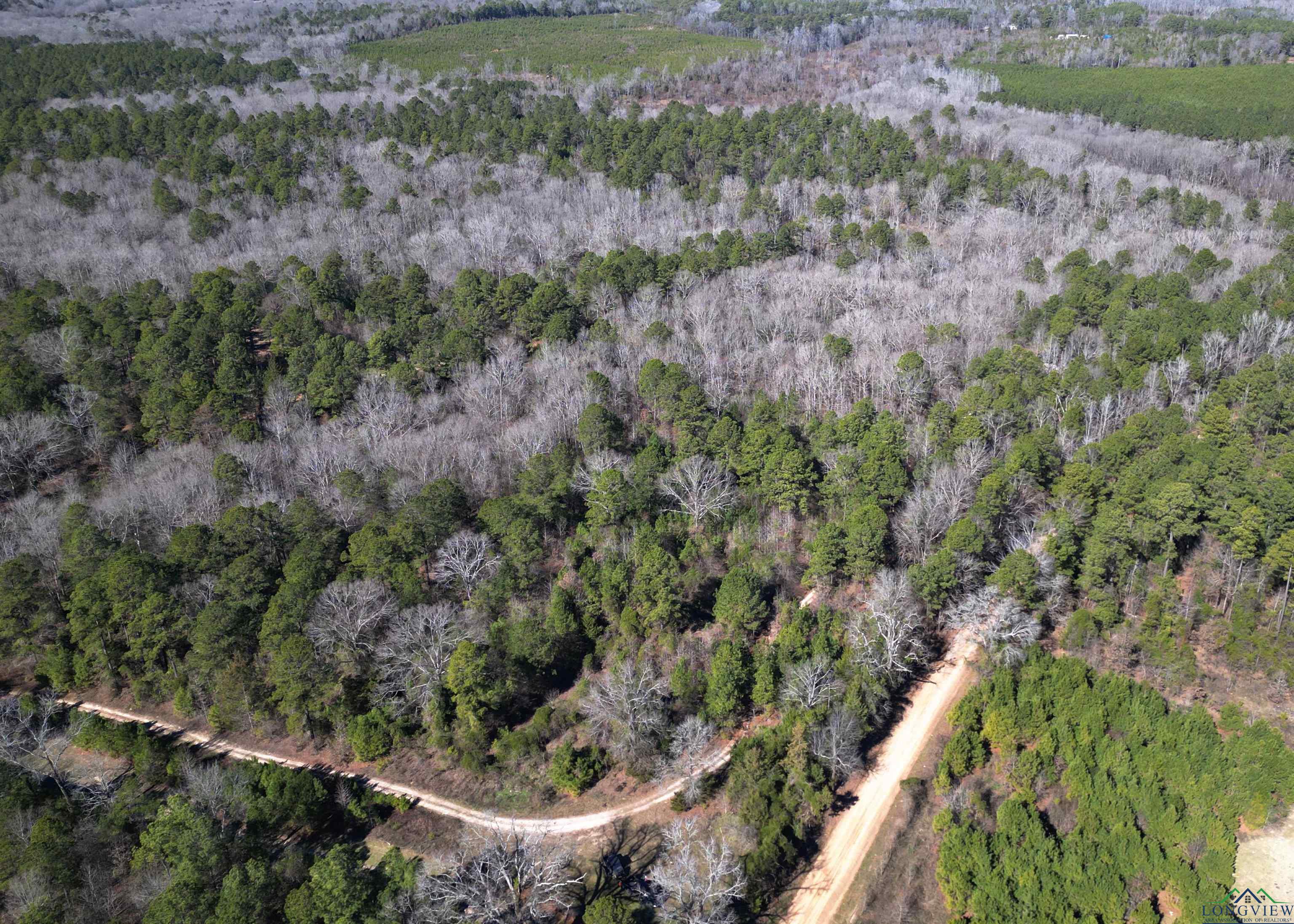TBD Cr 3217, Atlanta, Texas image 17