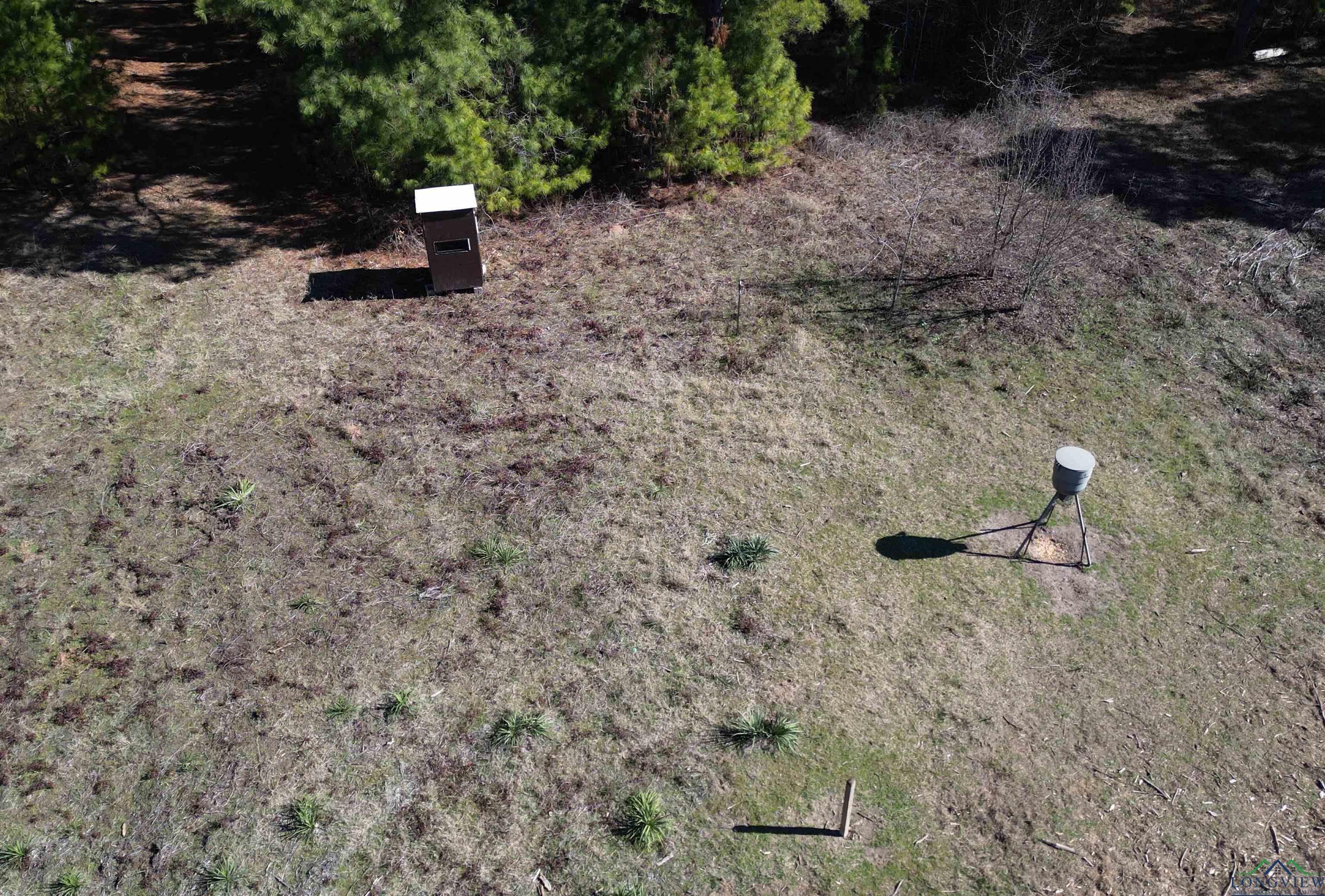 TBD Cr 3217, Atlanta, Texas image 8