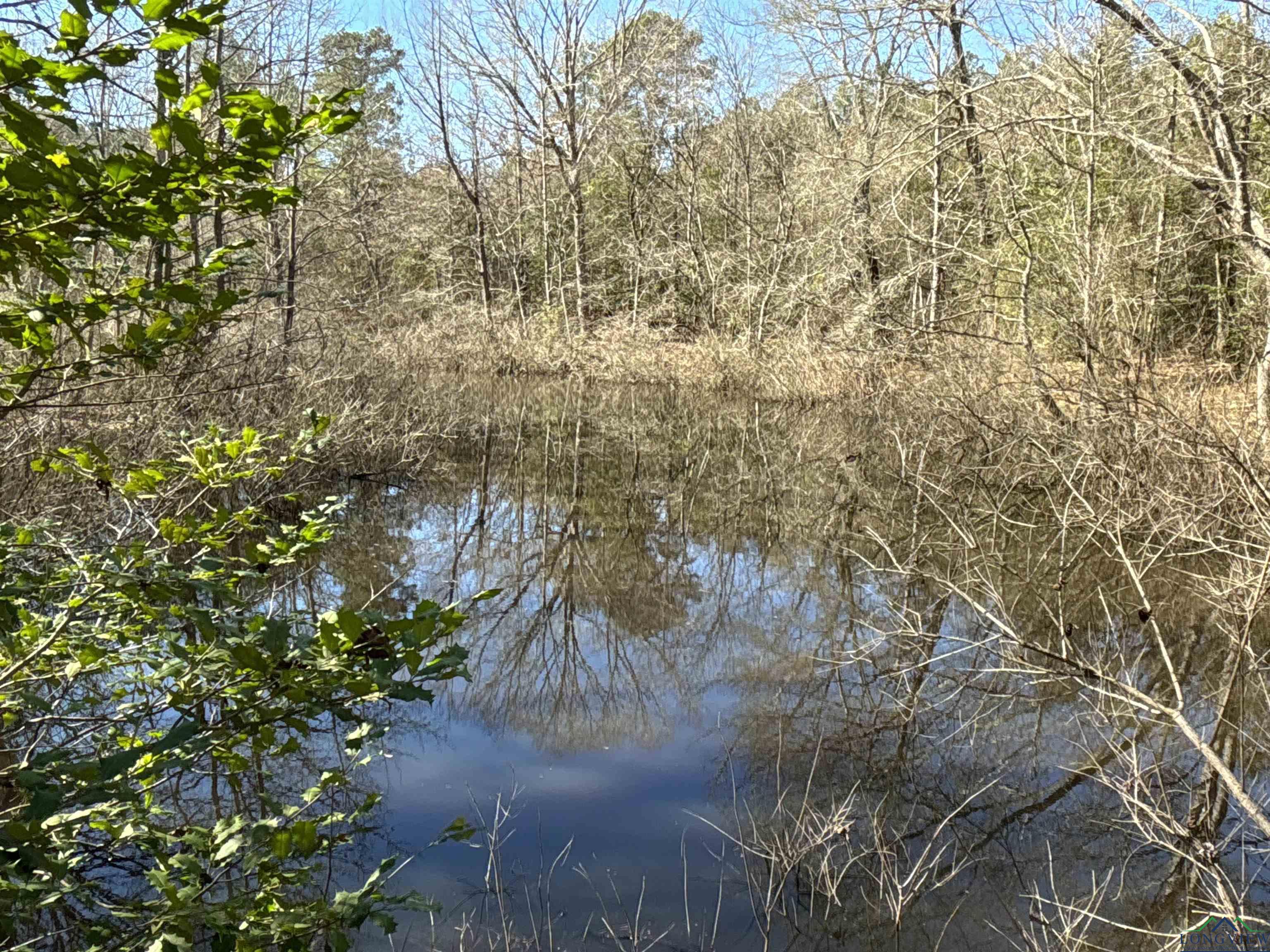 TBD Cr 3217, Atlanta, Texas image 20