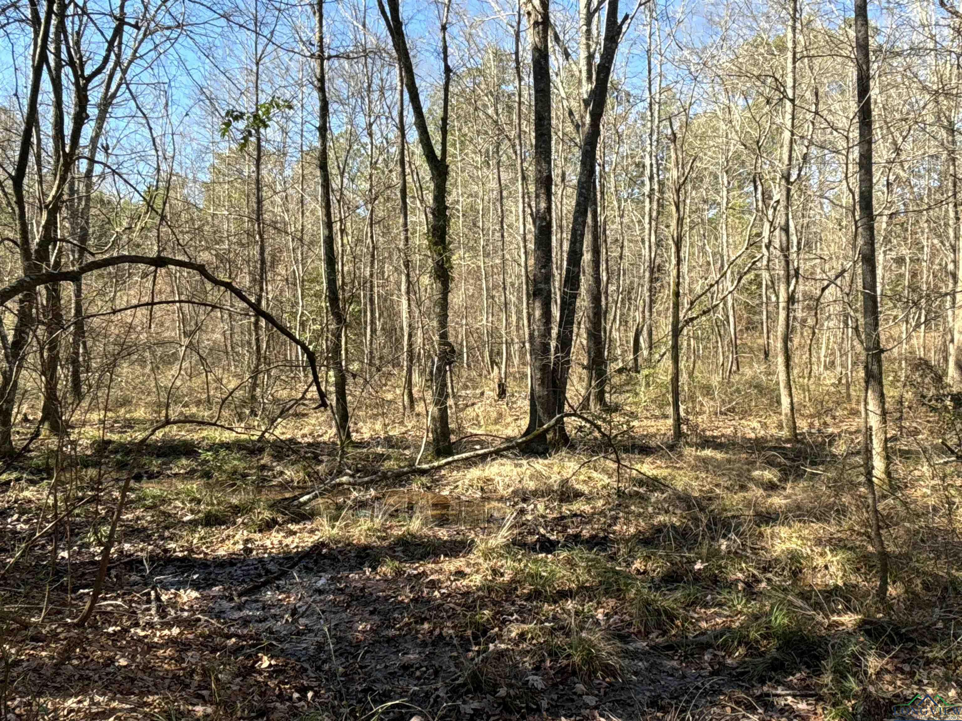 TBD Cr 3217, Atlanta, Texas image 24