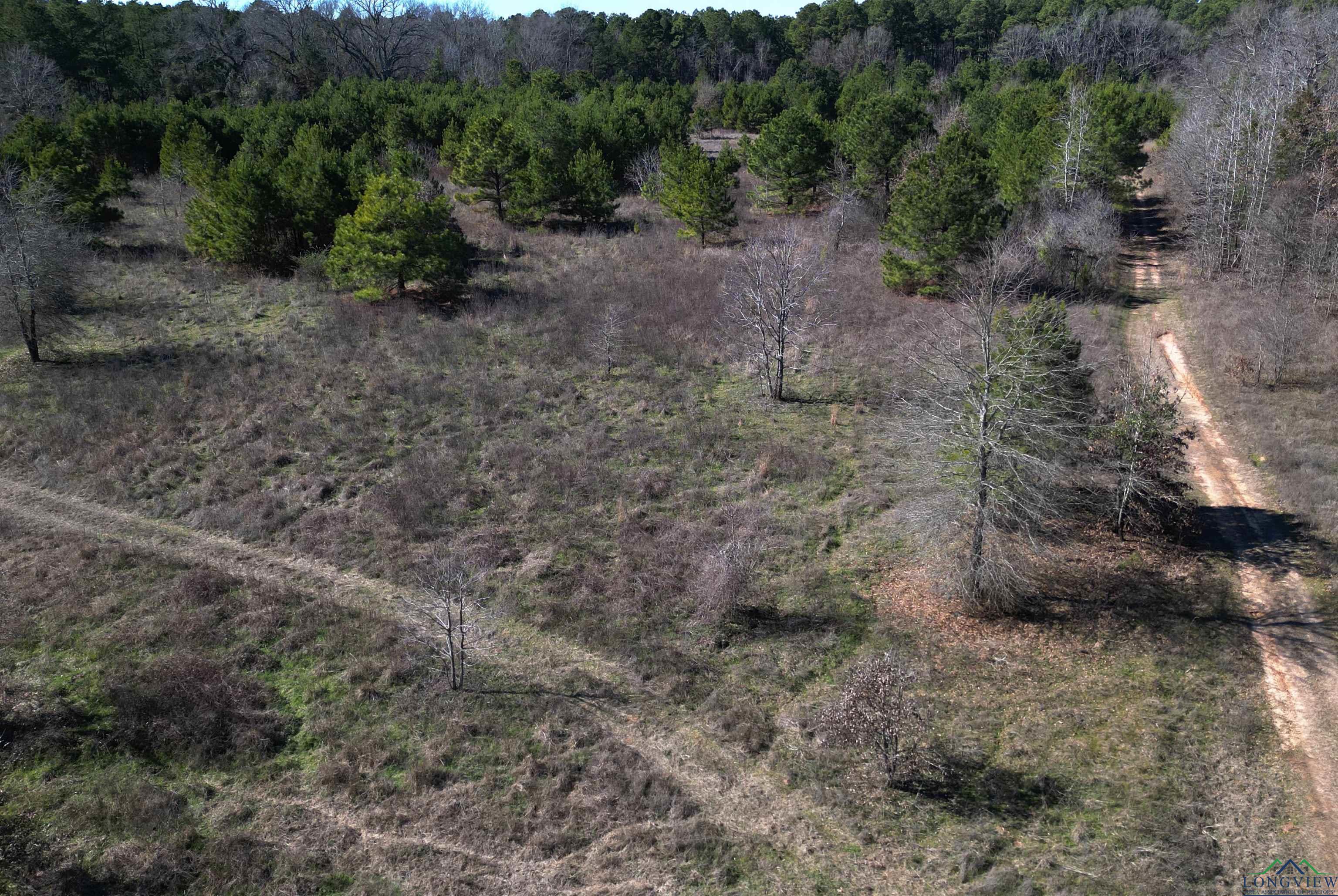 TBD Cr 3217, Atlanta, Texas image 16