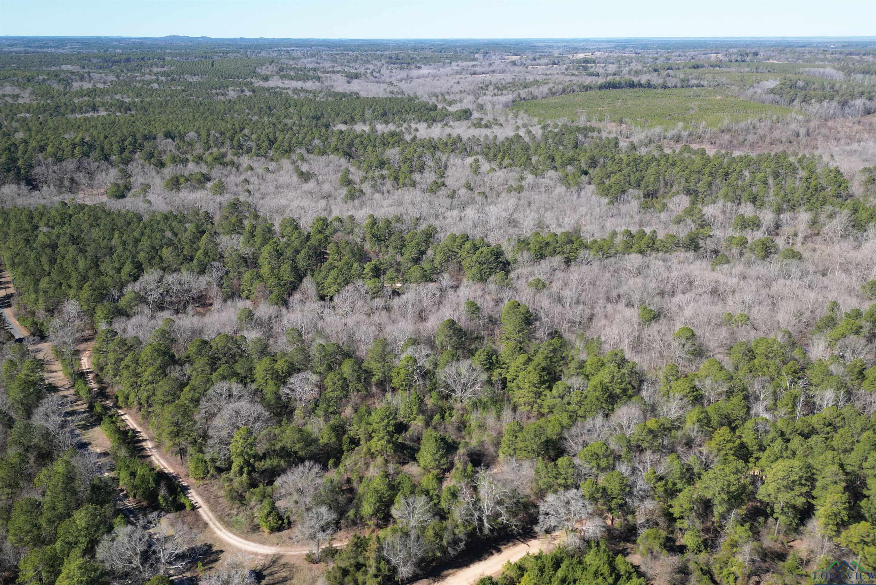 TBD Cr 3217, Atlanta, Texas image 18