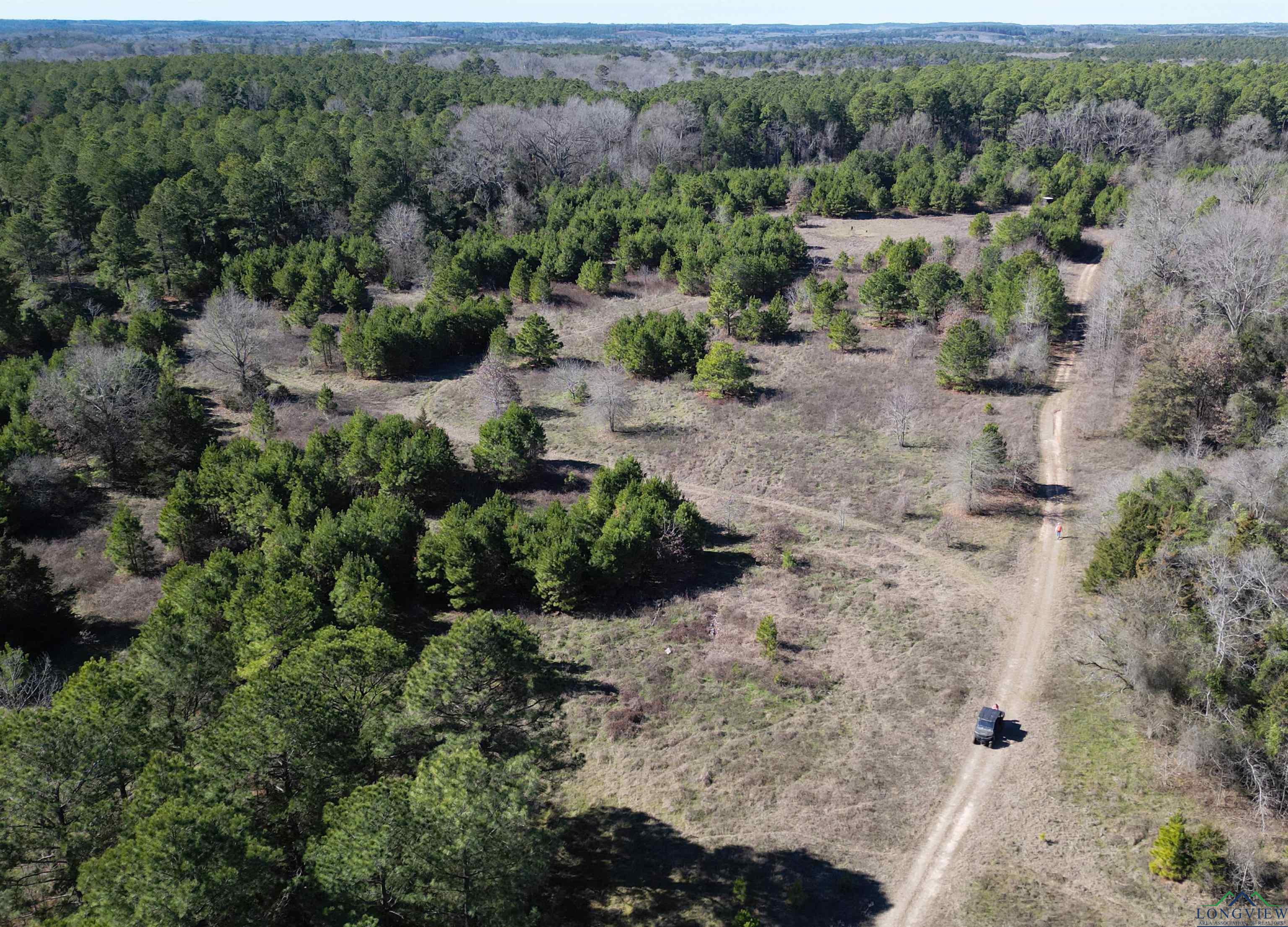 TBD Cr 3217, Atlanta, Texas image 12