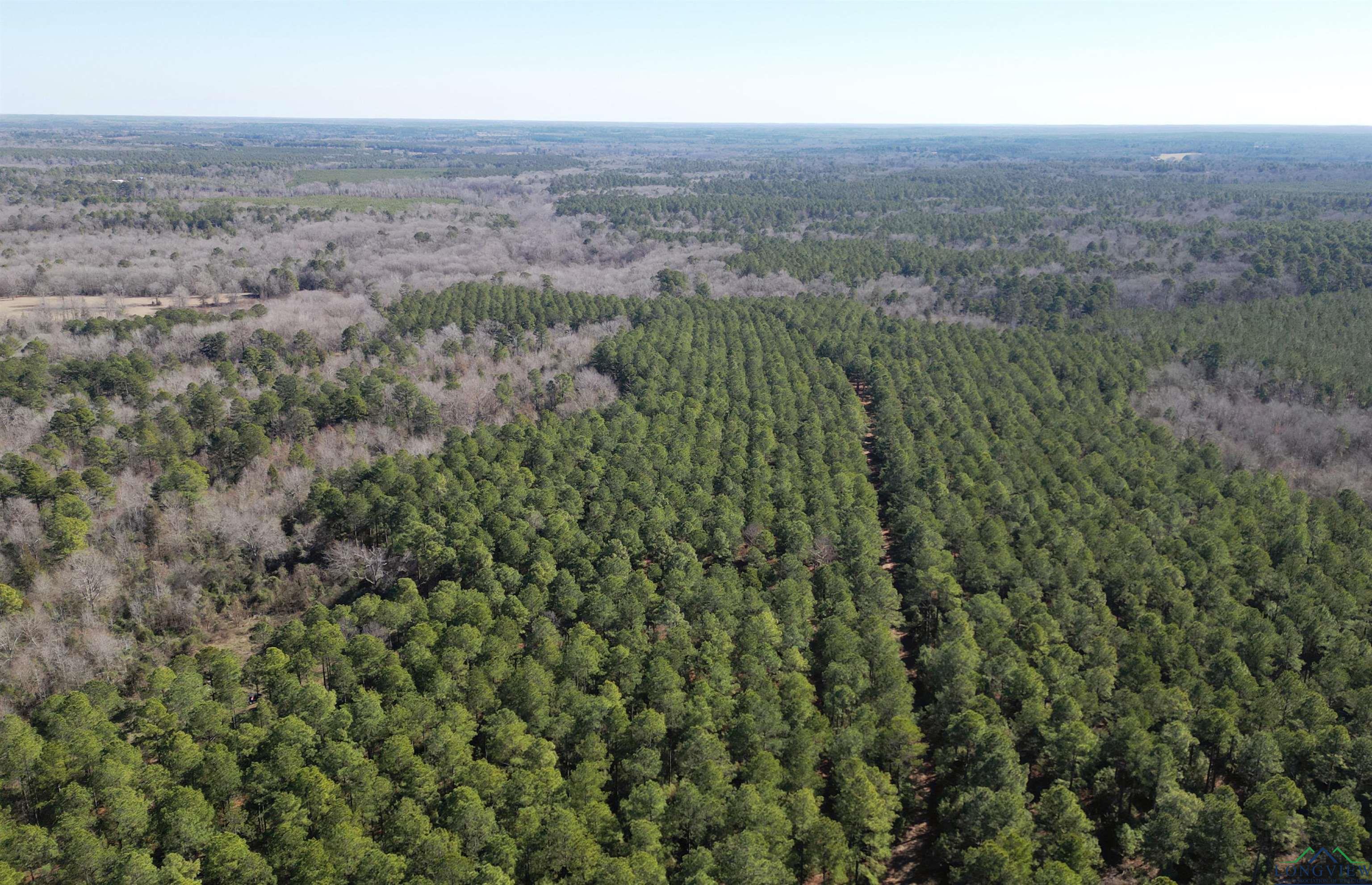 TBD Cr 3217, Atlanta, Texas image 9