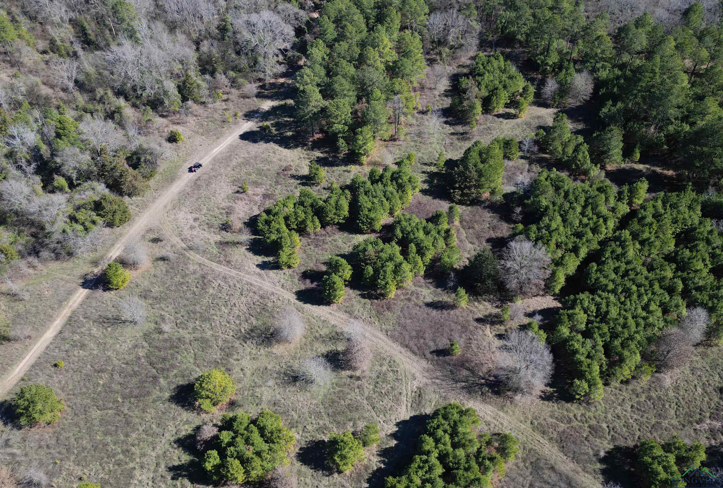 TBD Cr 3217, Atlanta, Texas image 14
