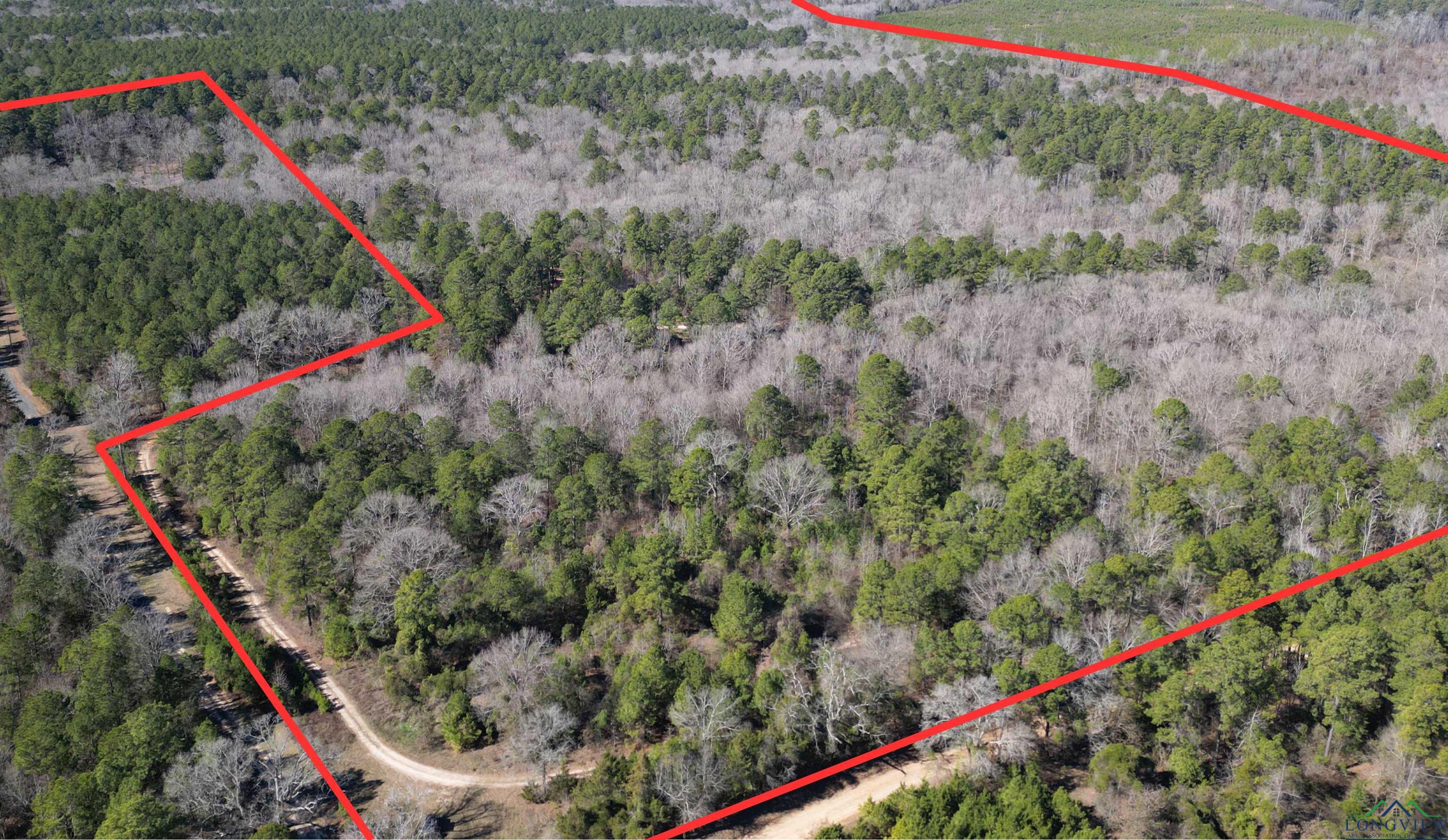 TBD Cr 3217, Atlanta, Texas image 1