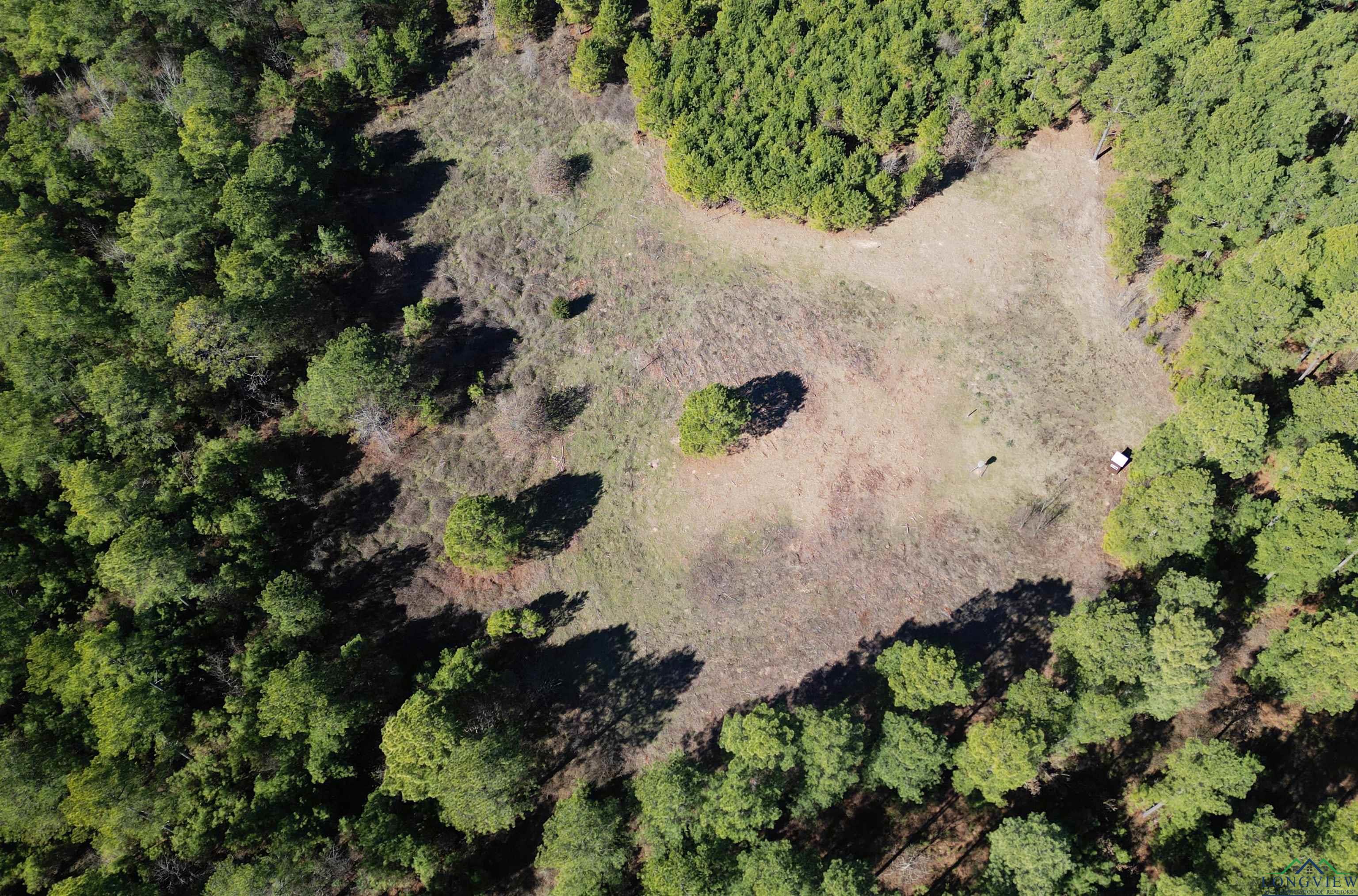 TBD Cr 3217, Atlanta, Texas image 7