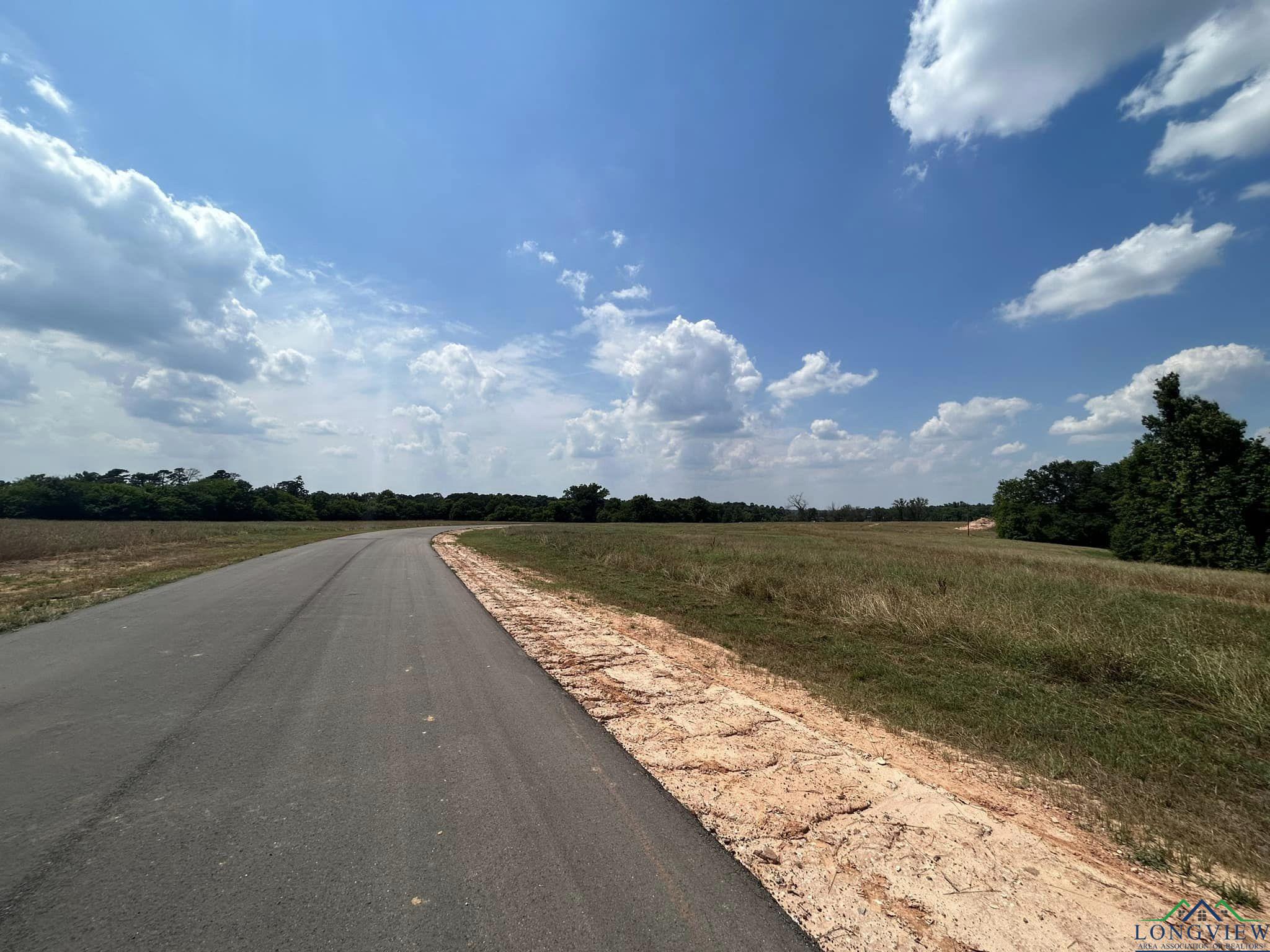 1666 Cr 2332, Pittsburg, Texas image 18