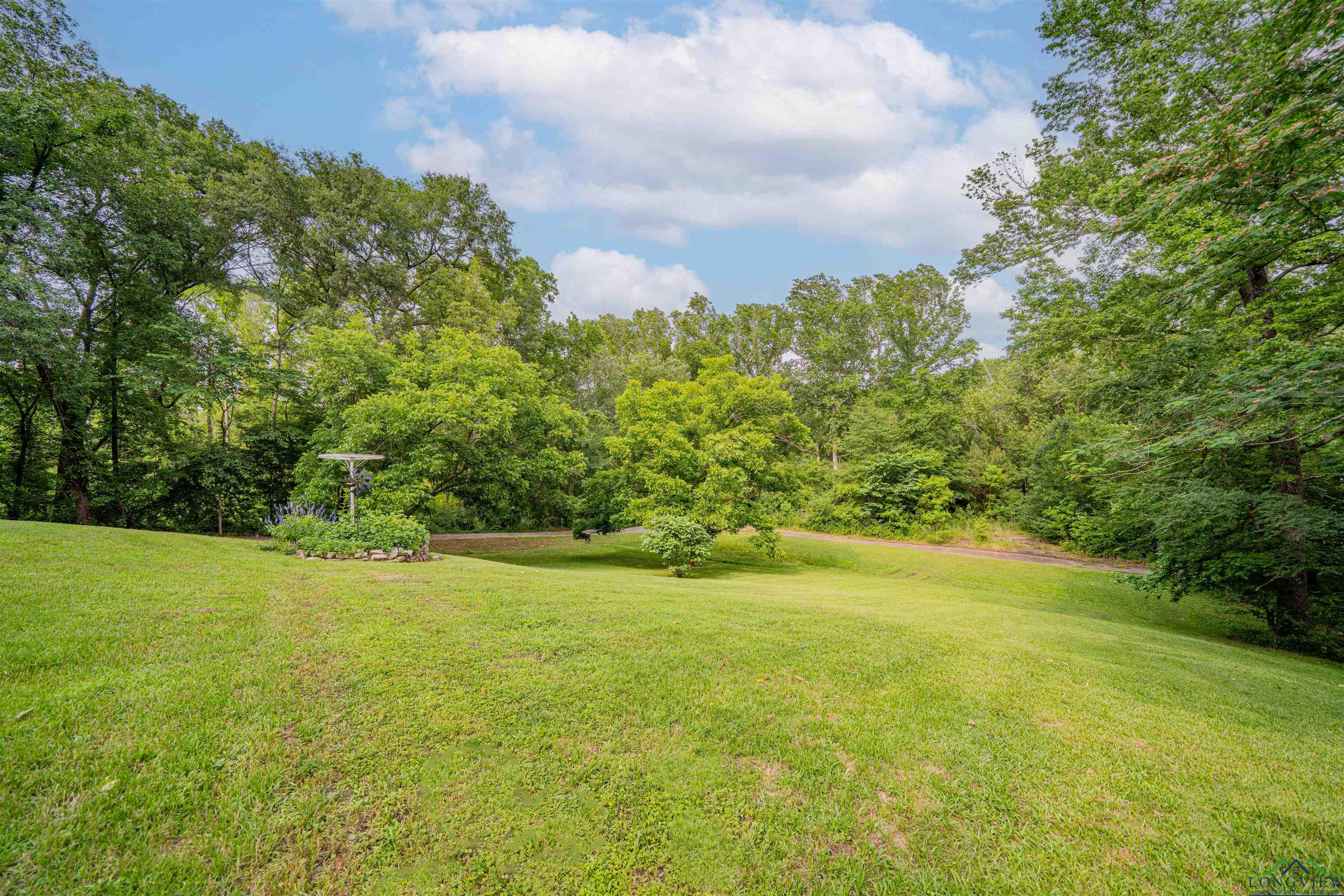 3805 Treetop Ln, Longview, Texas image 41
