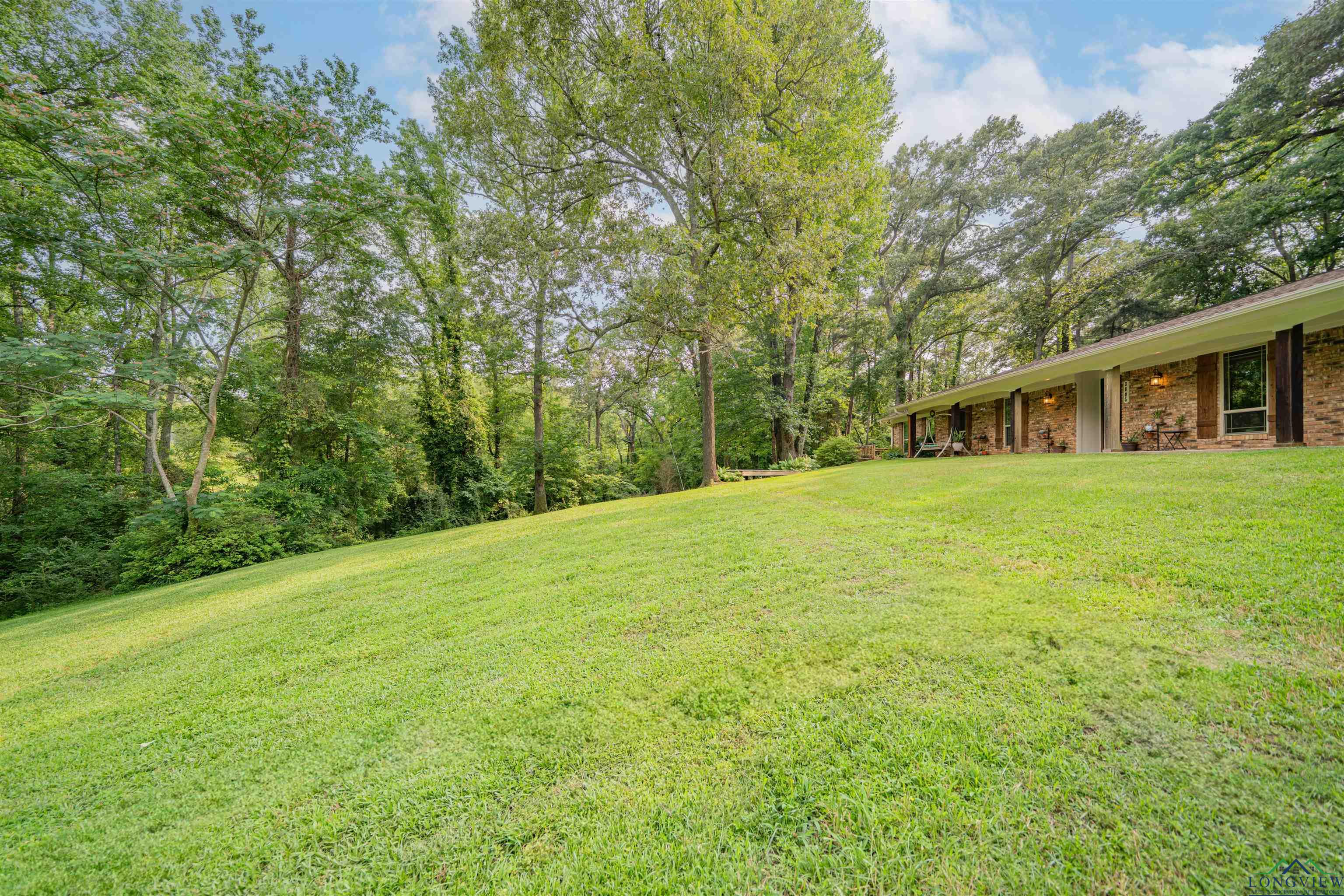 3805 Treetop Ln, Longview, Texas image 43
