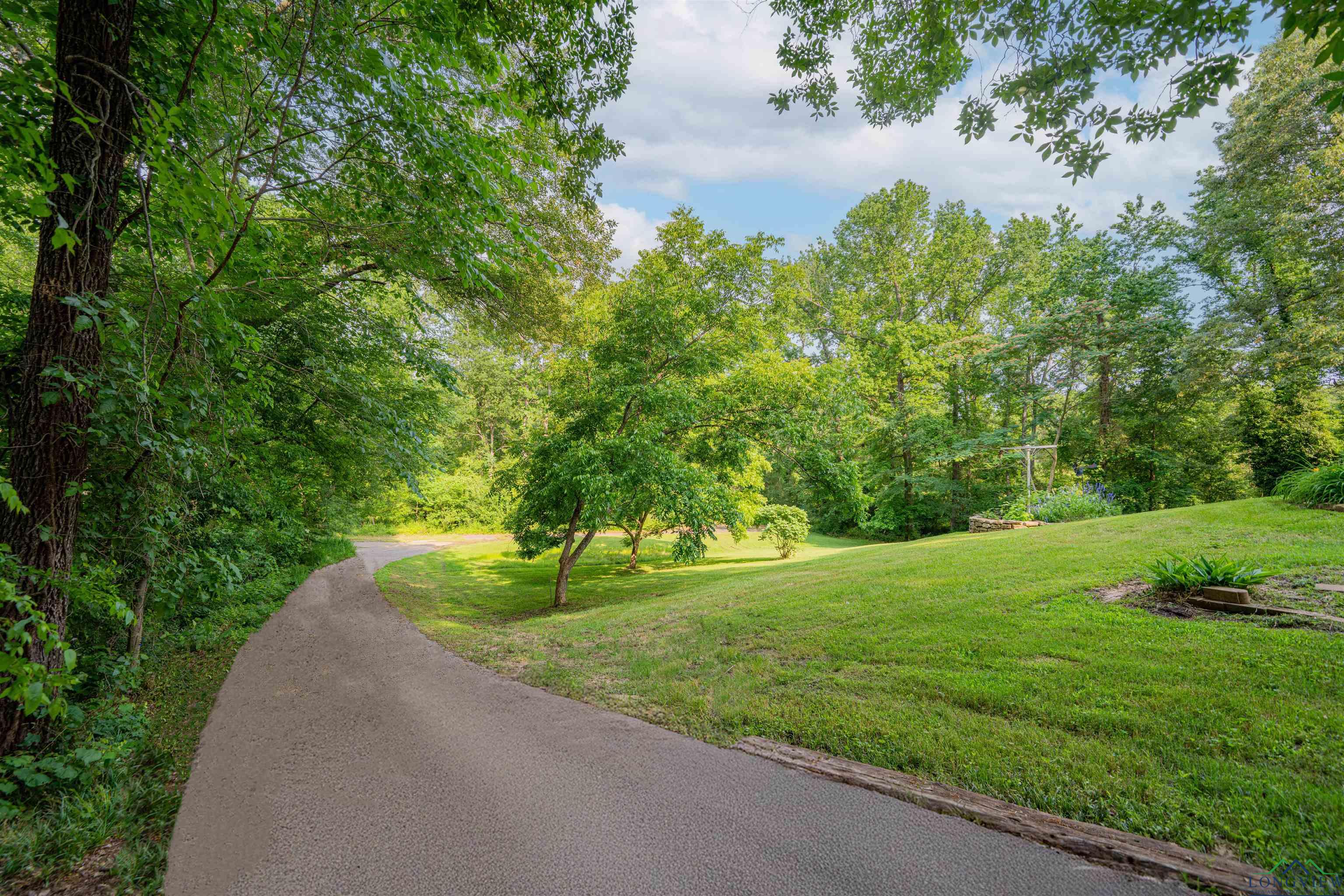 3805 Treetop Ln, Longview, Texas image 44