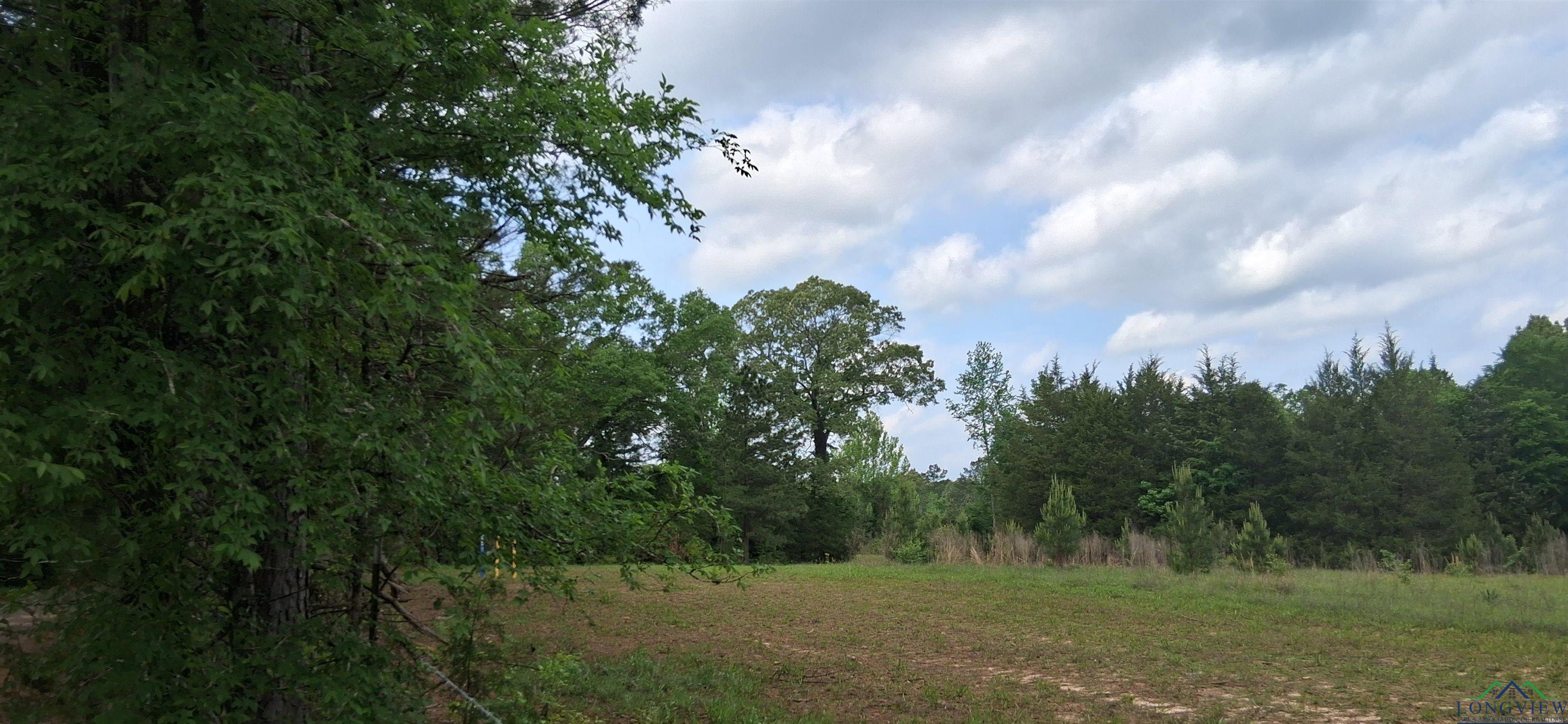 TBD Cass County Road 1581 & 1582, Avinger, Texas image 4