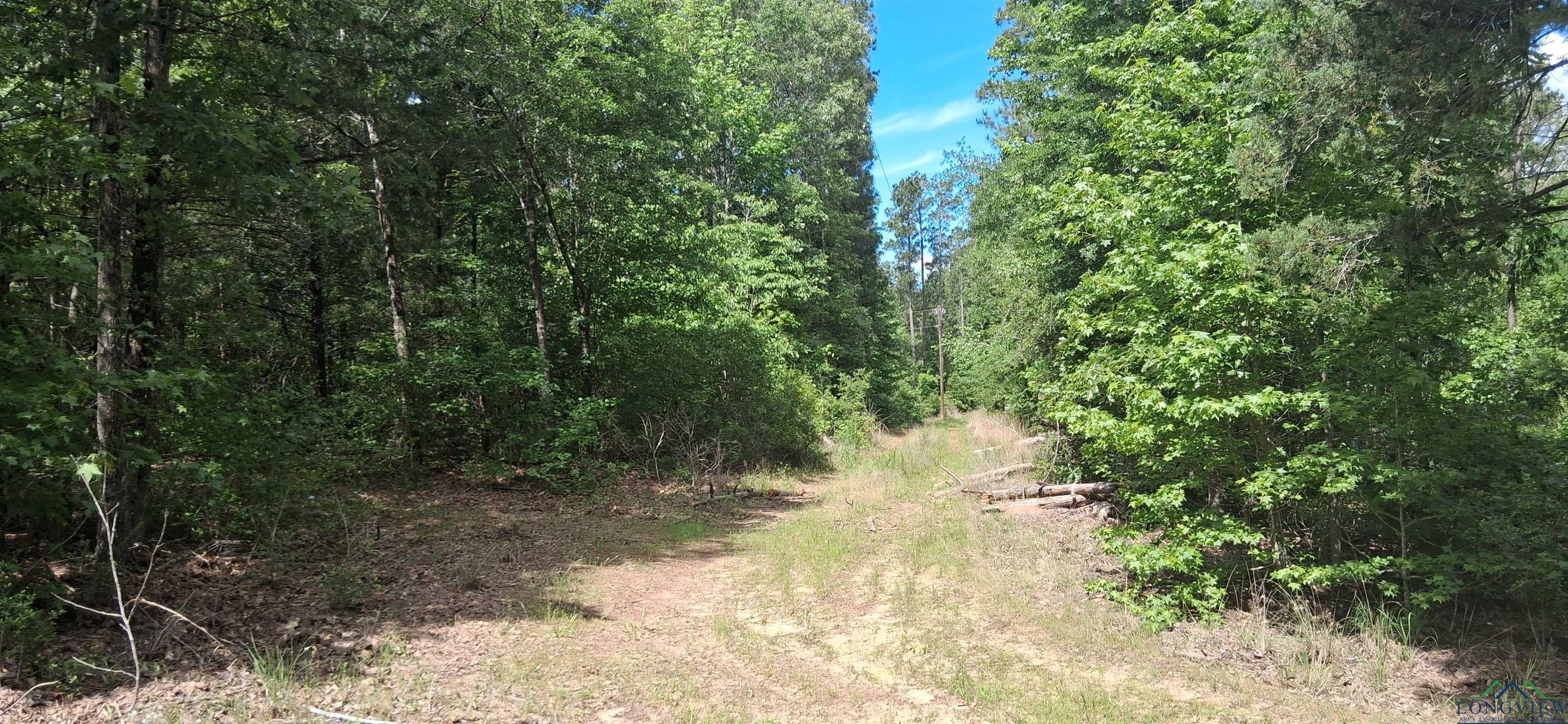 TBD Cass County Road 1581 & 1582, Avinger, Texas image 3