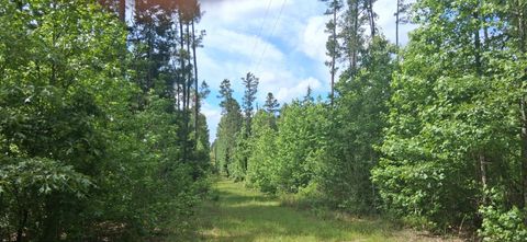 Vacant Land For Sale - TBD Cass County Road 1581<br/> Cass County, Avinger, TX 75630