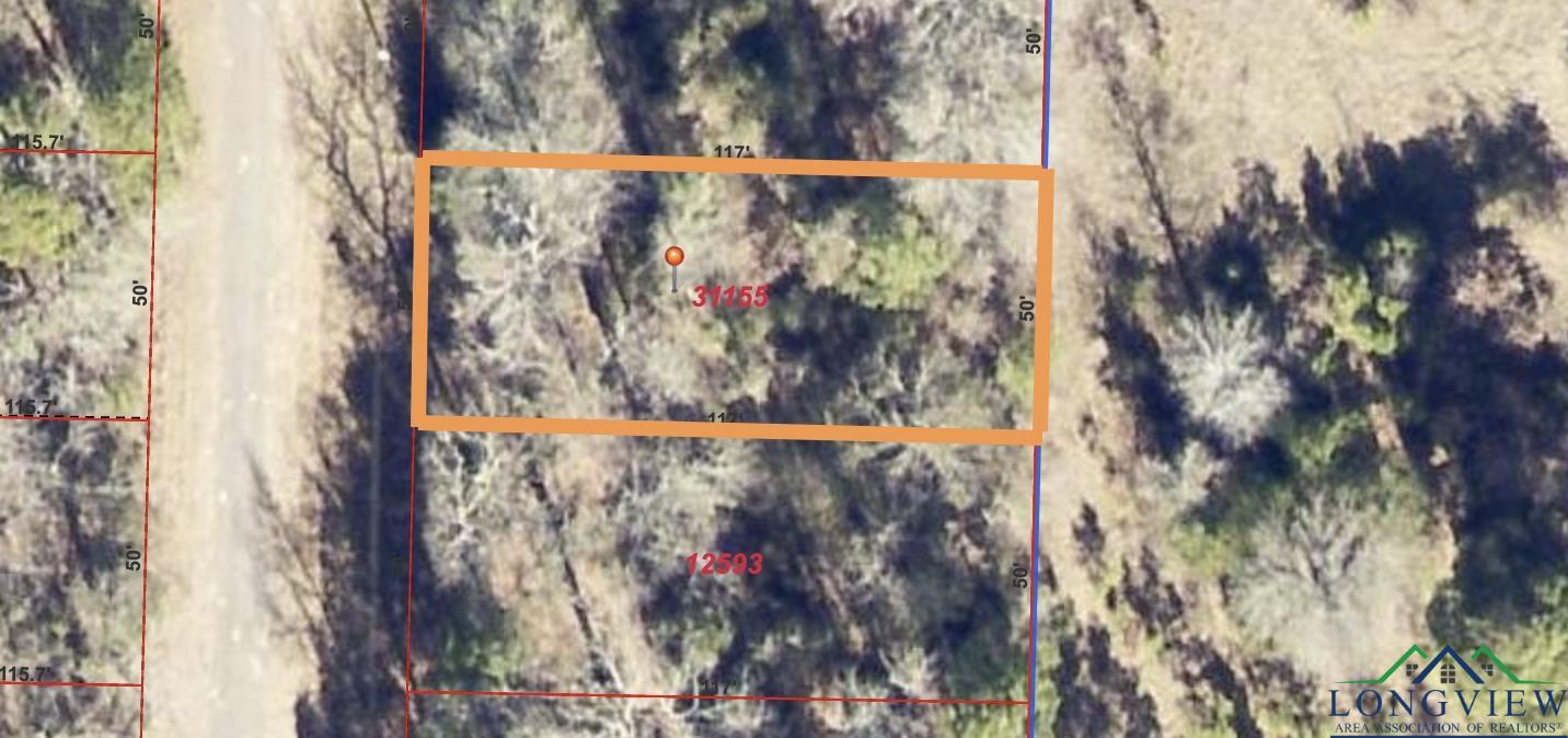 Lot 386 Tbd Eagle Bluff Loop, Avinger, Texas image 2