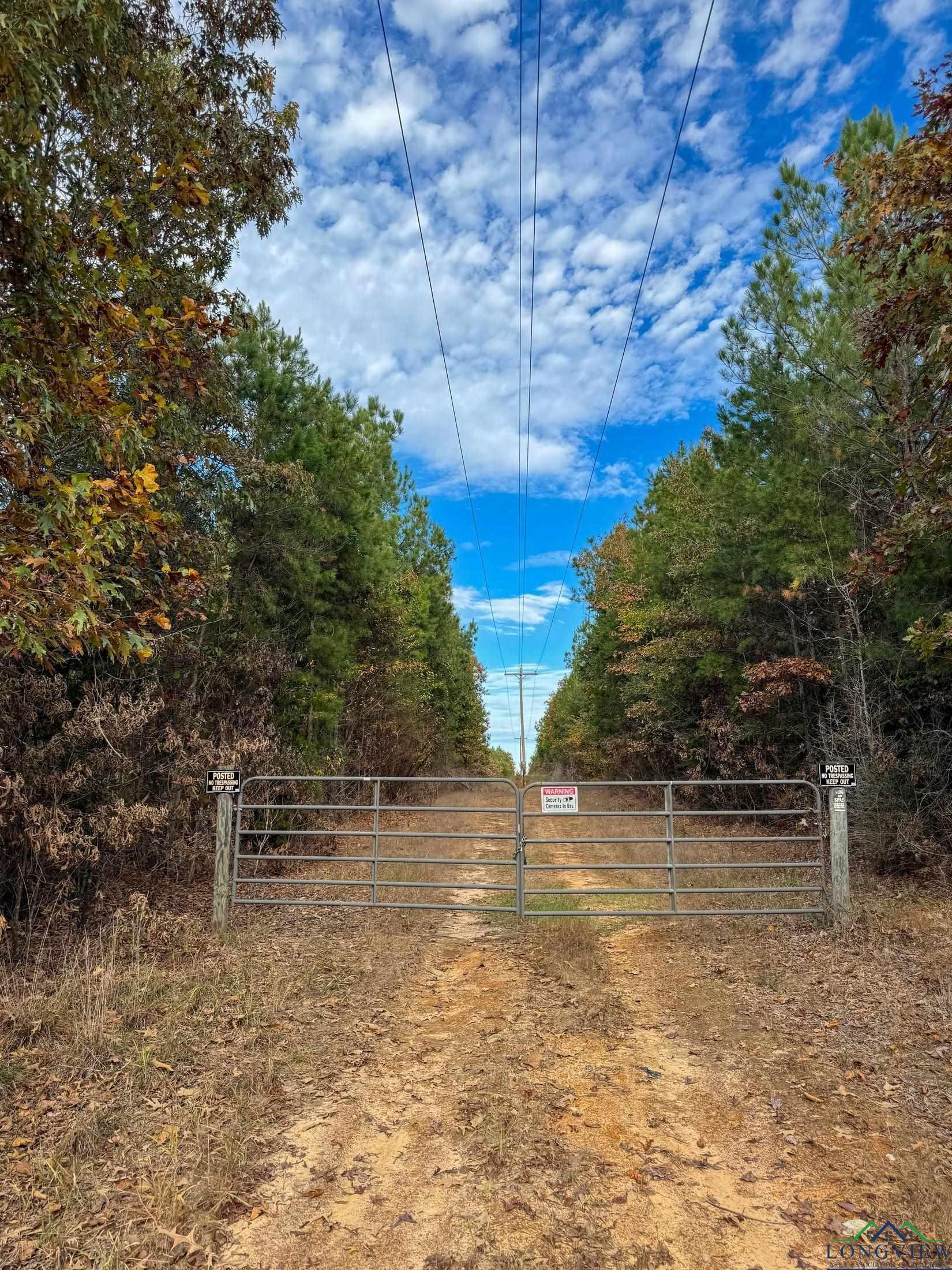 2821 Cr 1896, Linden, Texas image 13