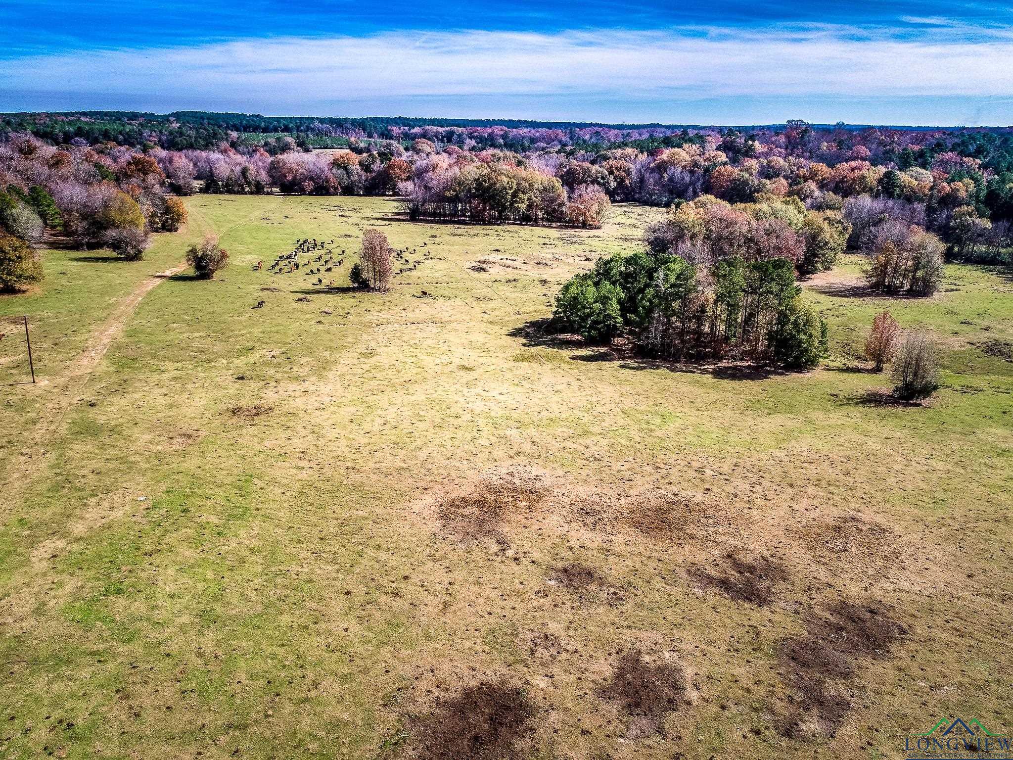 635 AC Hwy 315, Mount Enterprise, Texas image 33