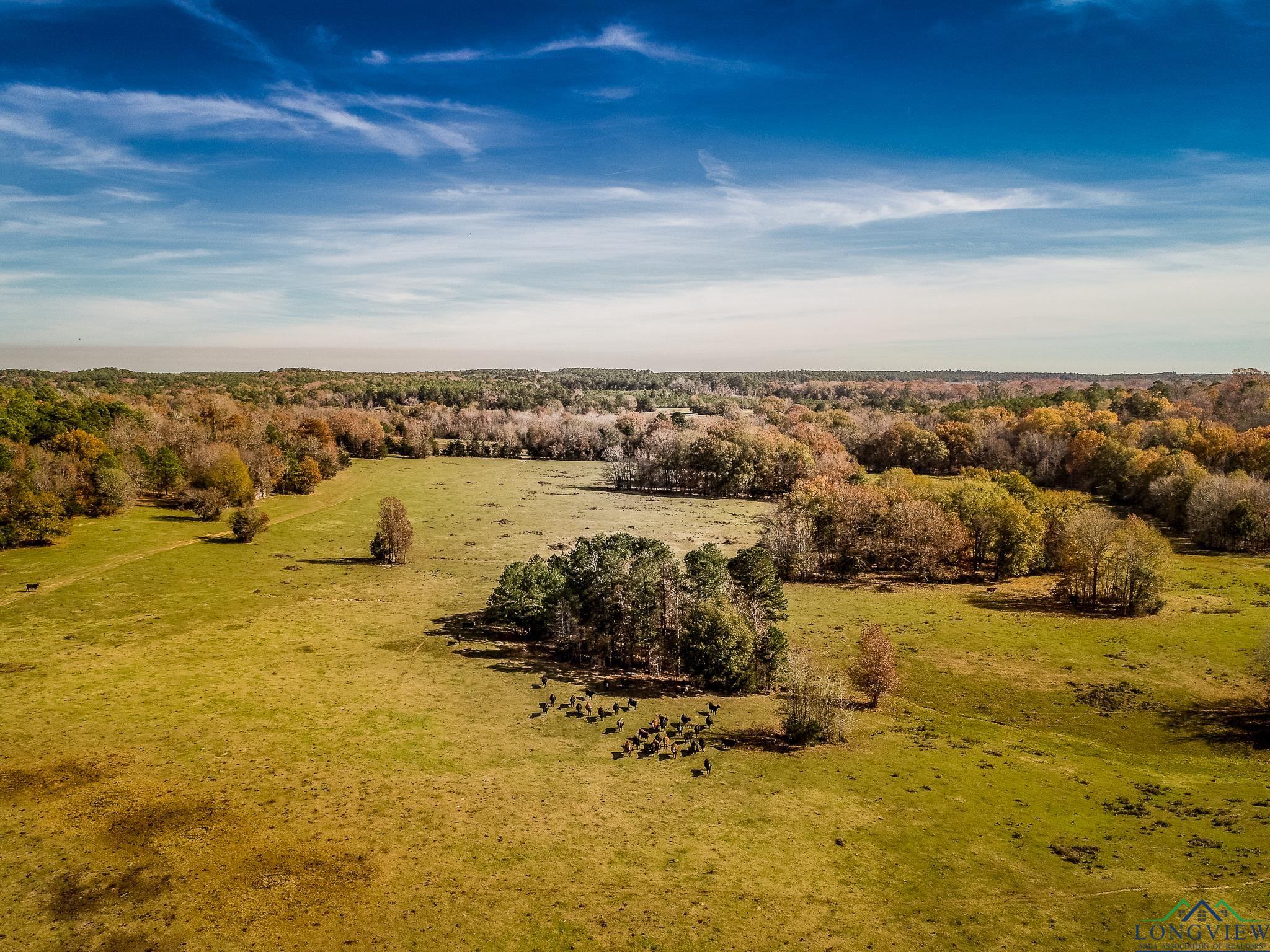 635 AC Hwy 315, Mount Enterprise, Texas image 9