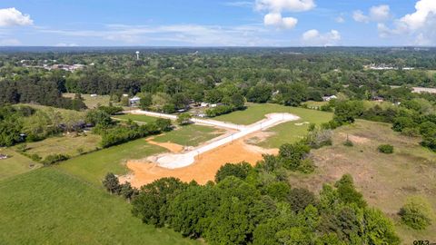 Homes For Sale - 106 W Teal Drive<br/> Troup, TX 75789