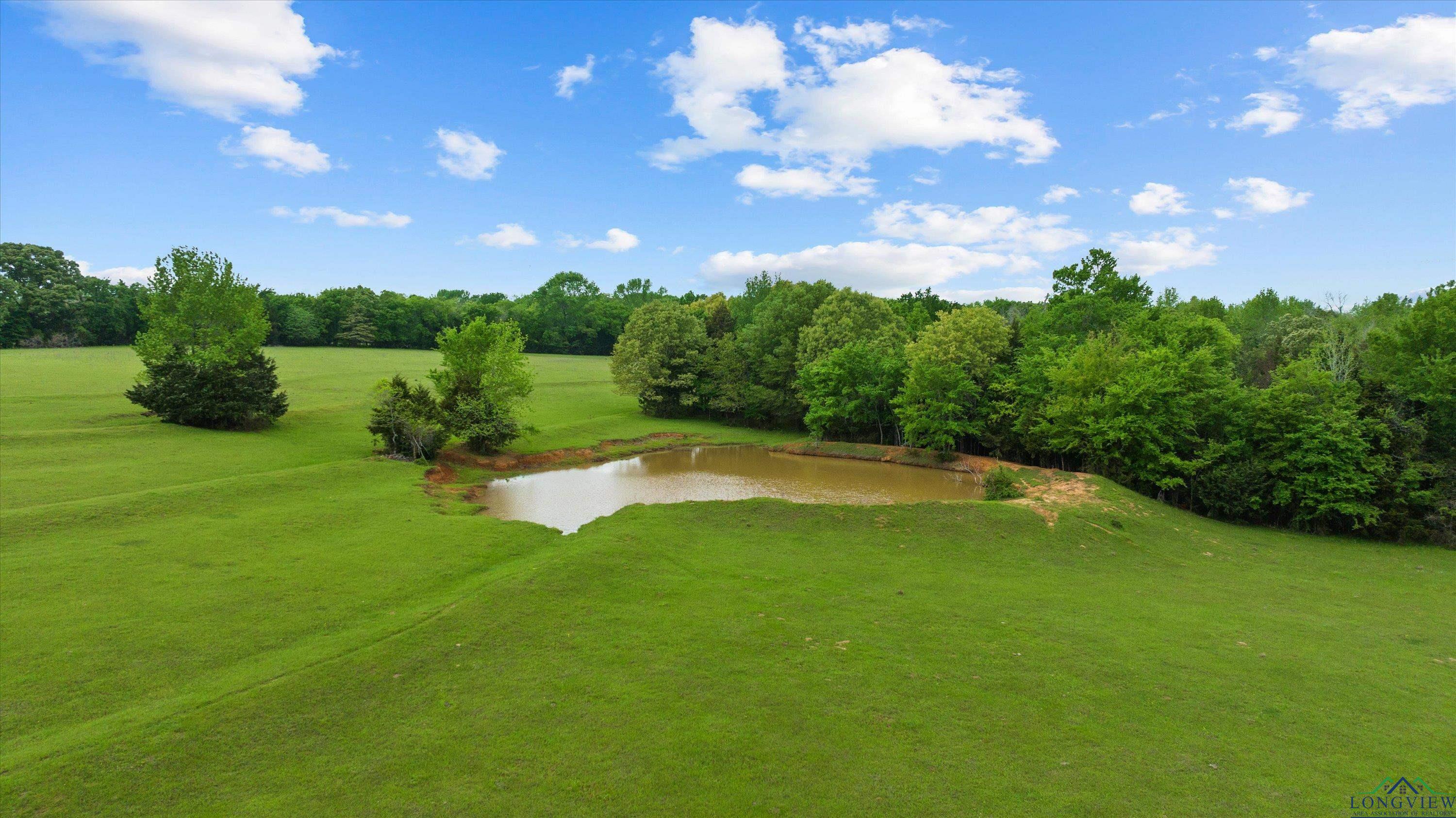 TBD County Road 477, Lindale, Texas image 2