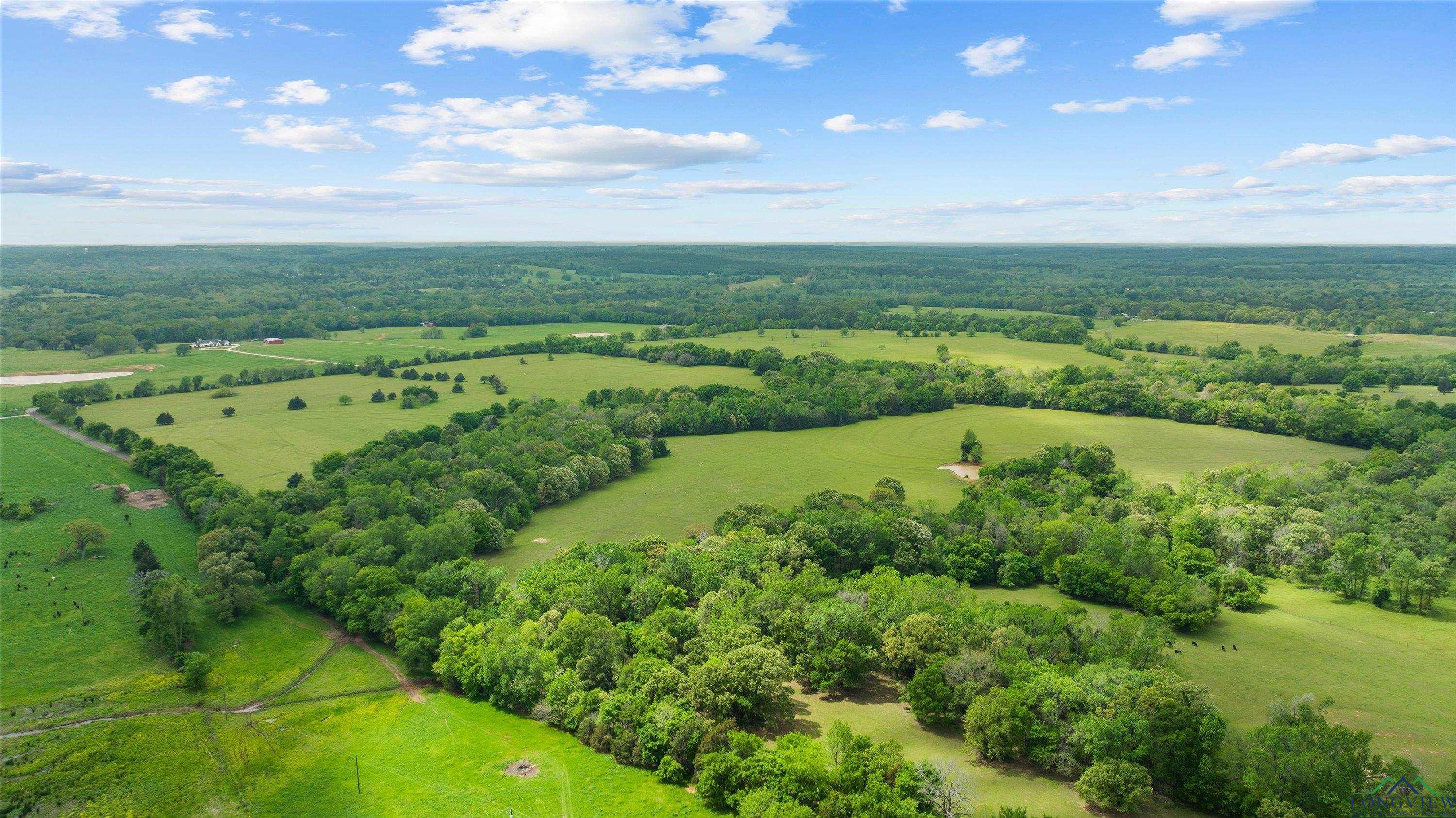 TBD County Road 477, Lindale, Texas image 7