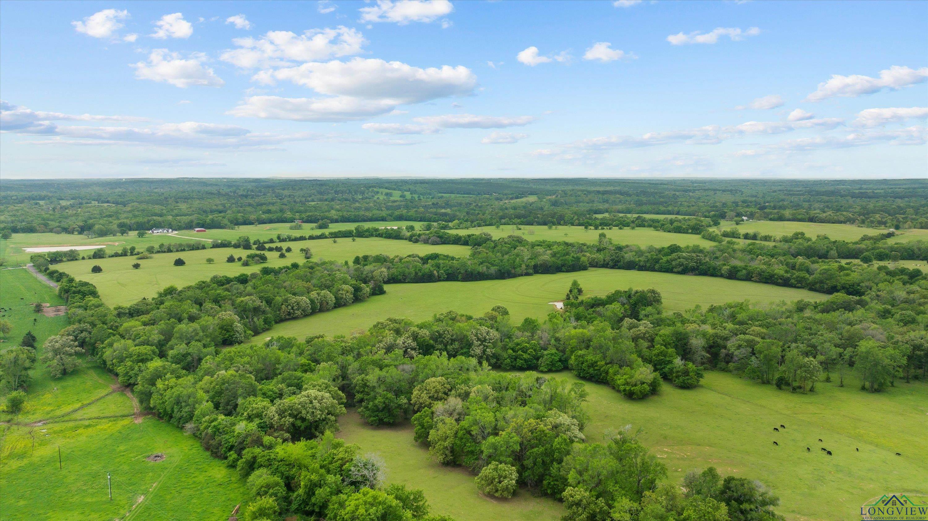 TBD County Road 477, Lindale, Texas image 20