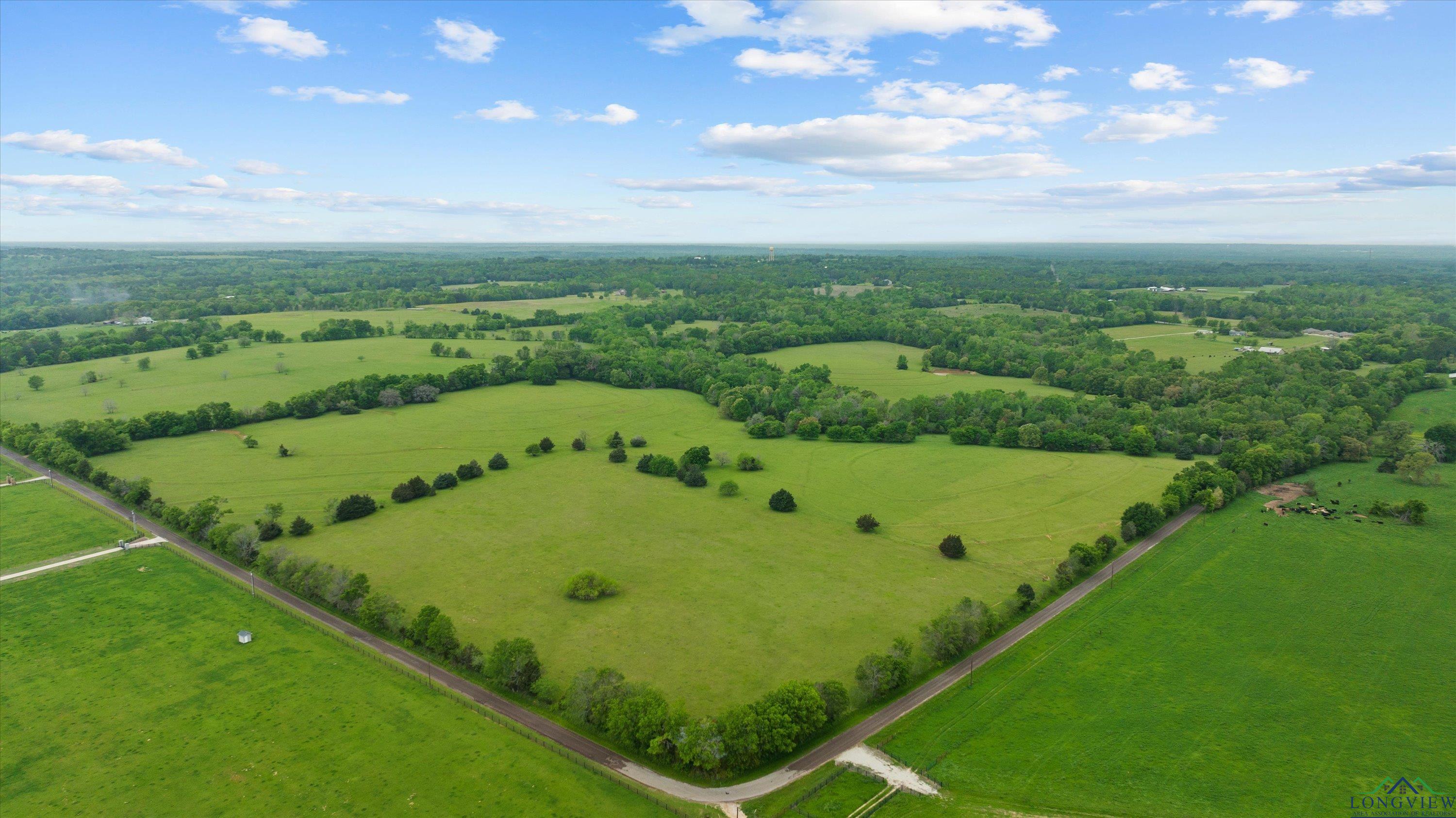 TBD County Road 477, Lindale, Texas image 1