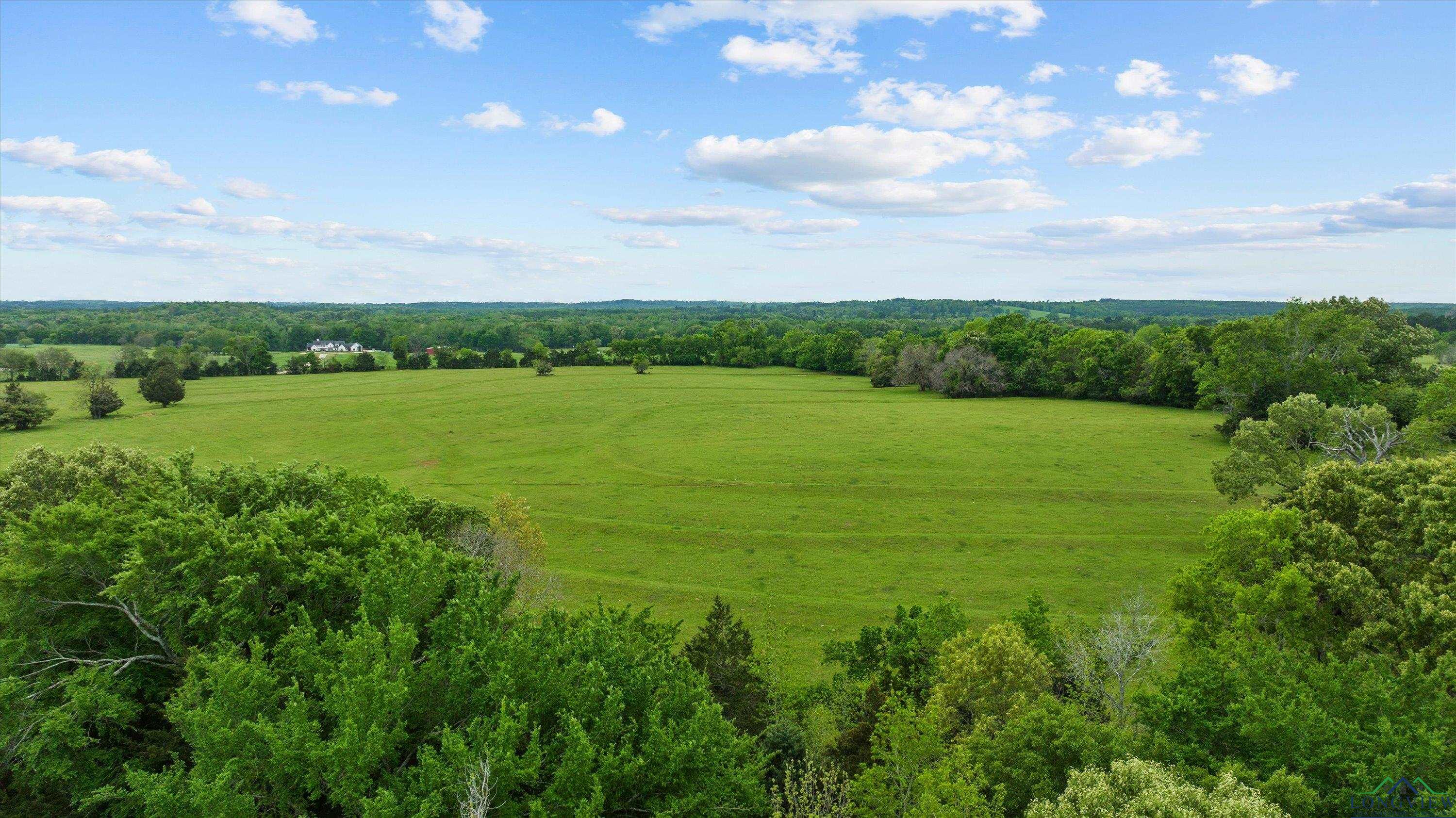 TBD County Road 477, Lindale, Texas image 21