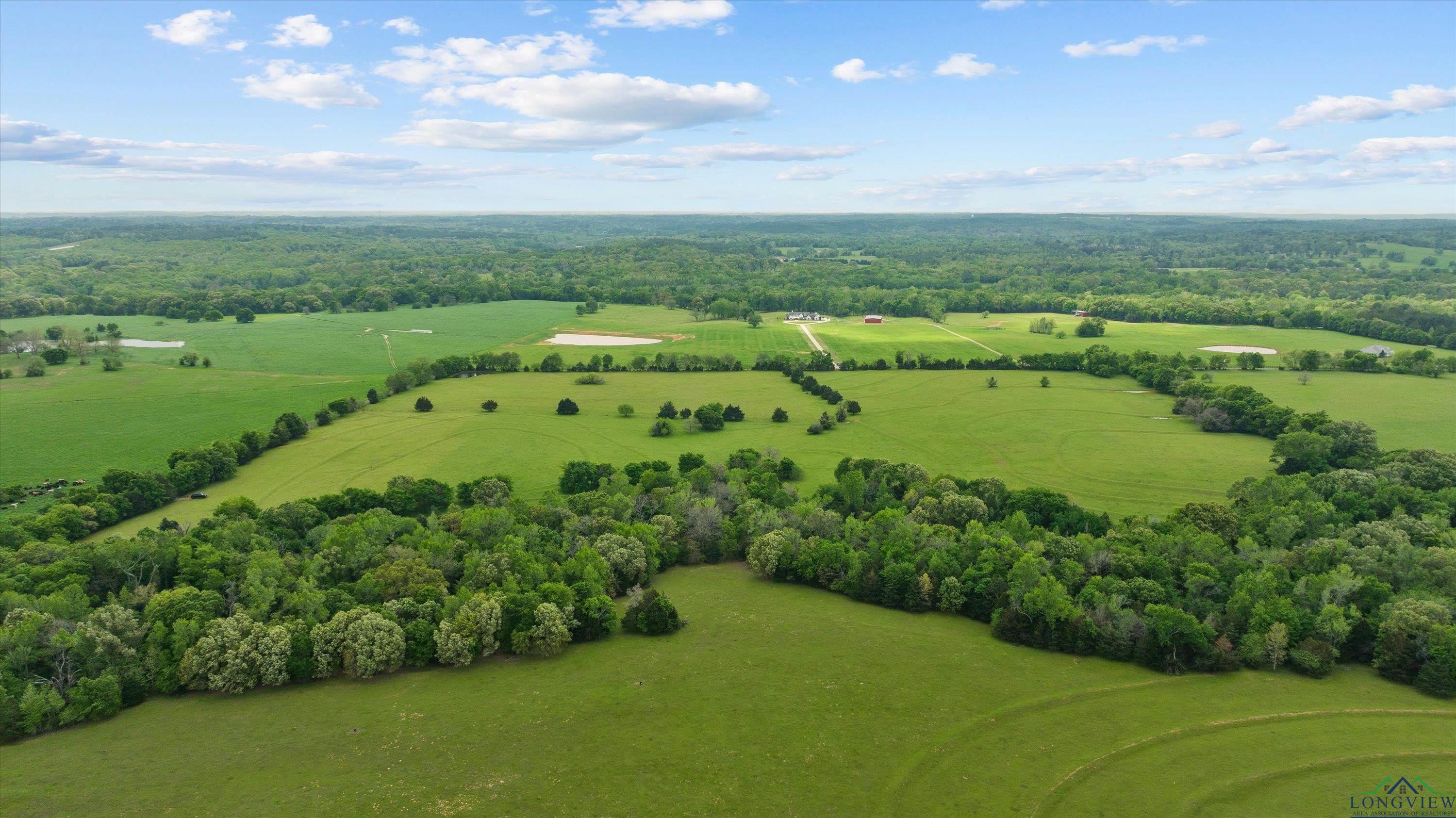 TBD County Road 477, Lindale, Texas image 9