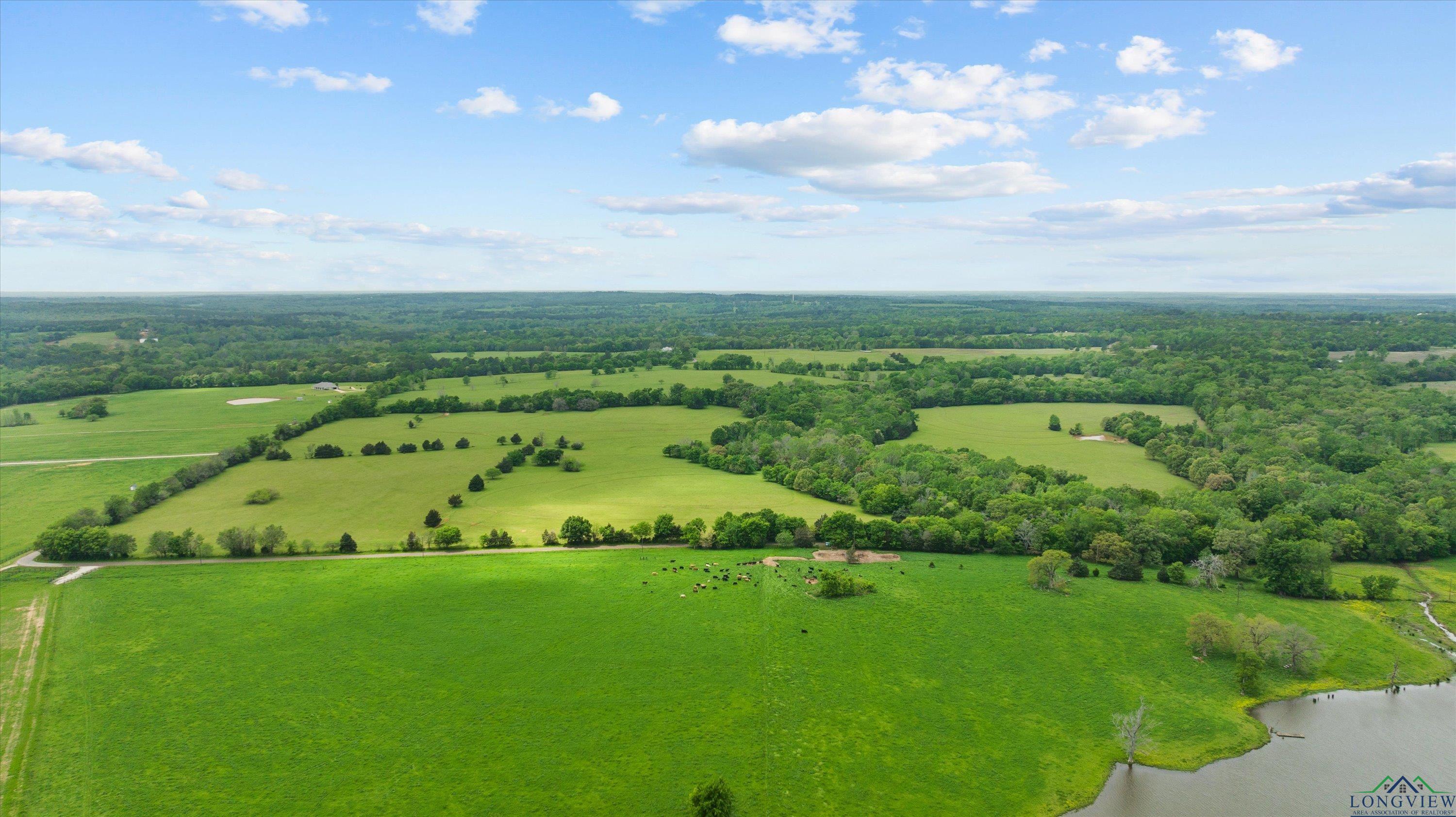 TBD County Road 477, Lindale, Texas image 19