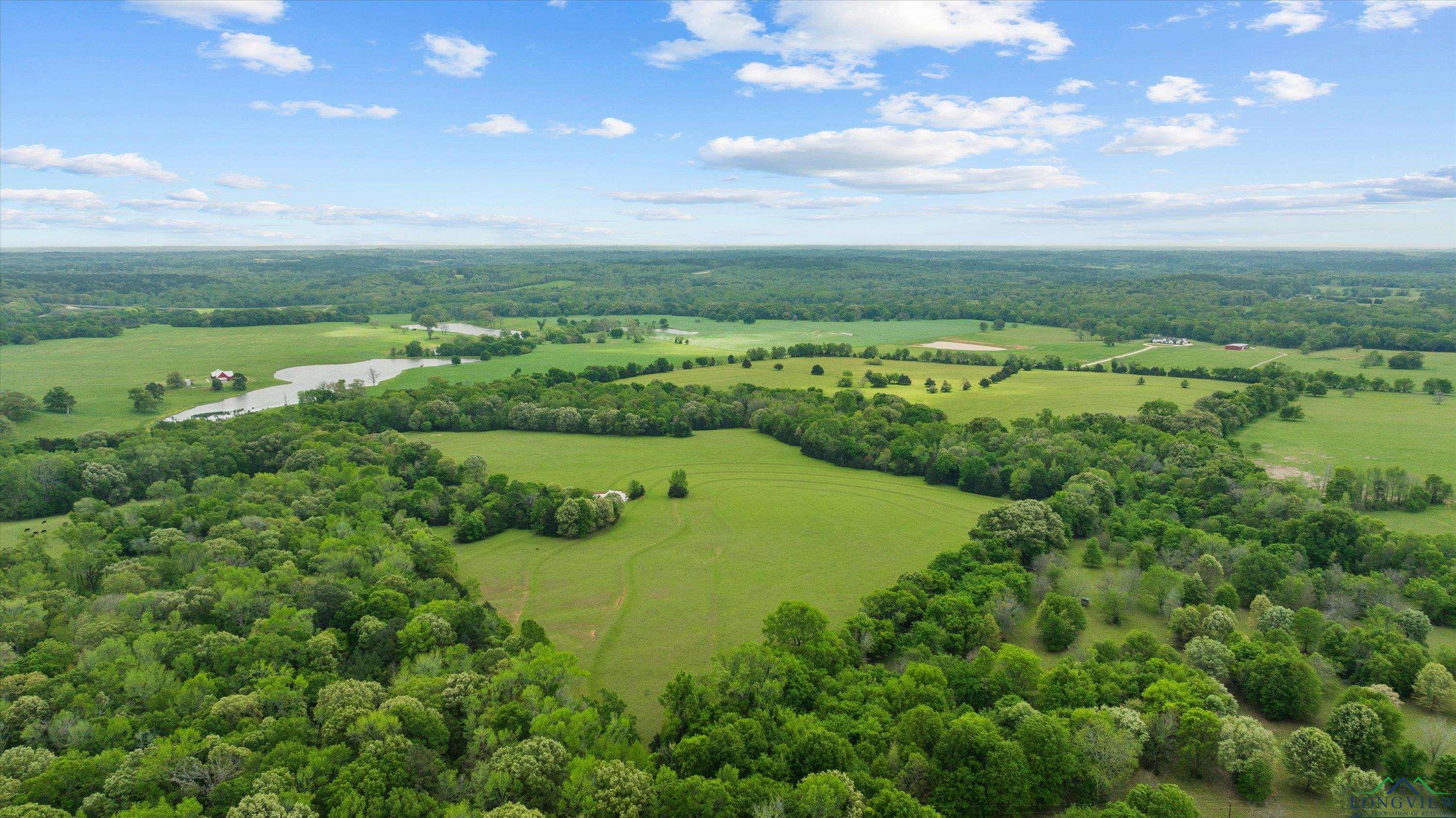 TBD County Road 477, Lindale, Texas image 8