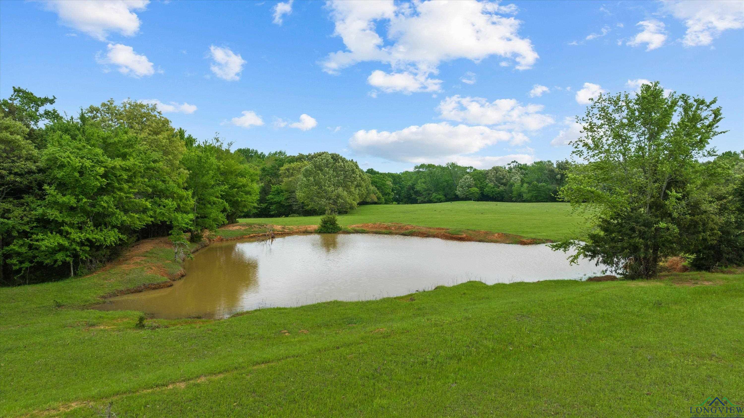 TBD County Road 477, Lindale, Texas image 3