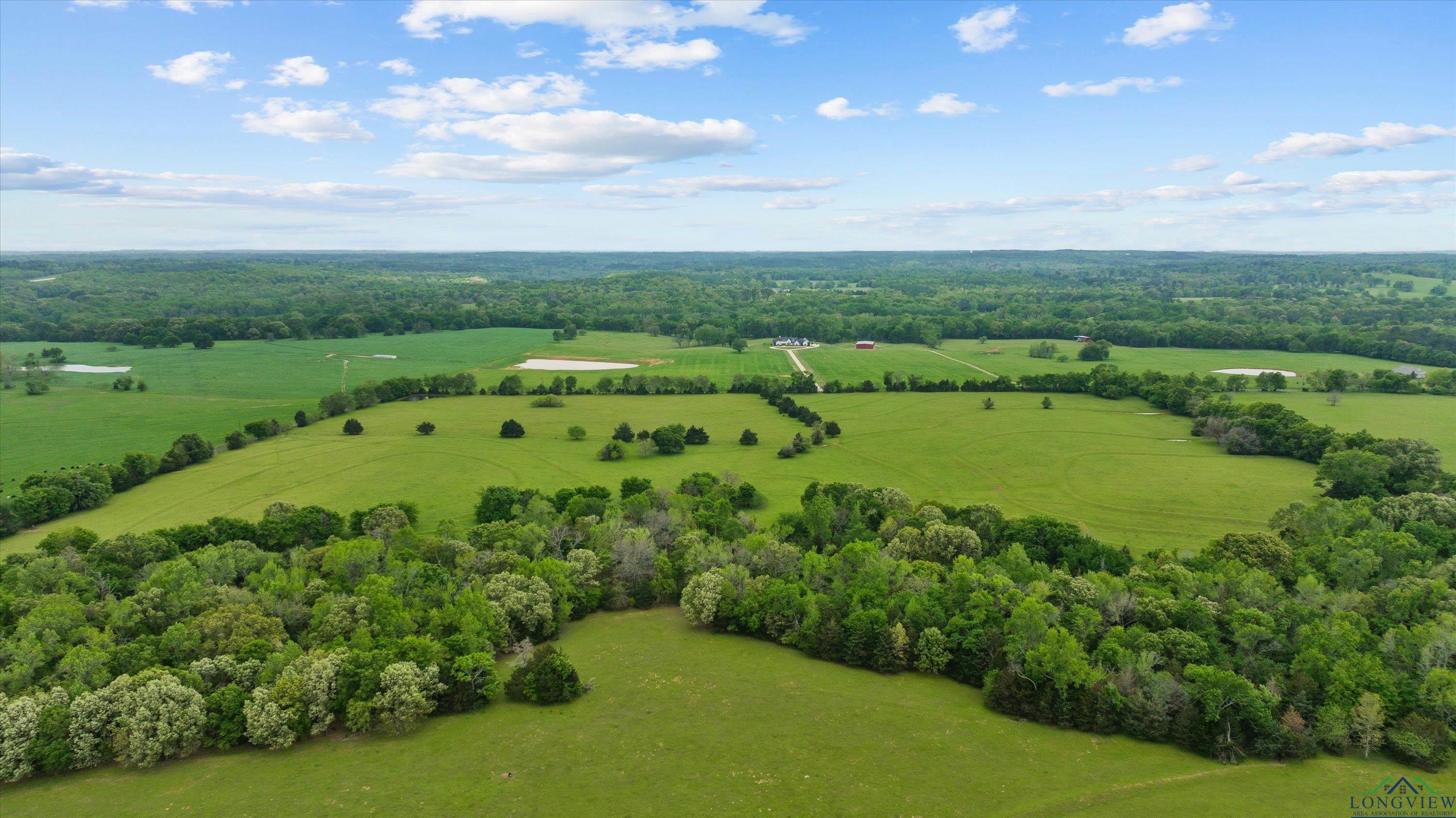 TBD County Road 477, Lindale, Texas image 17