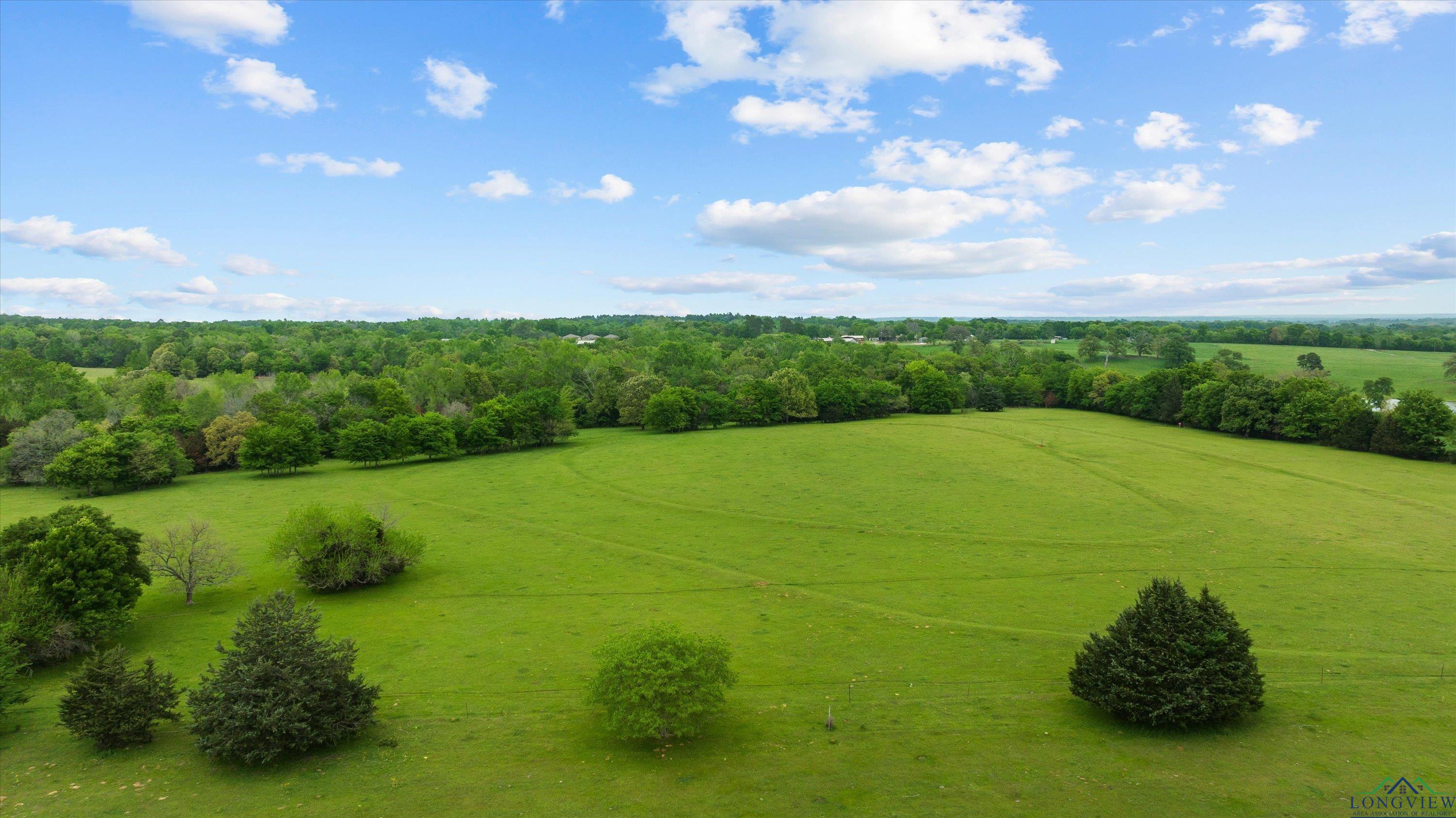 TBD County Road 477, Lindale, Texas image 13