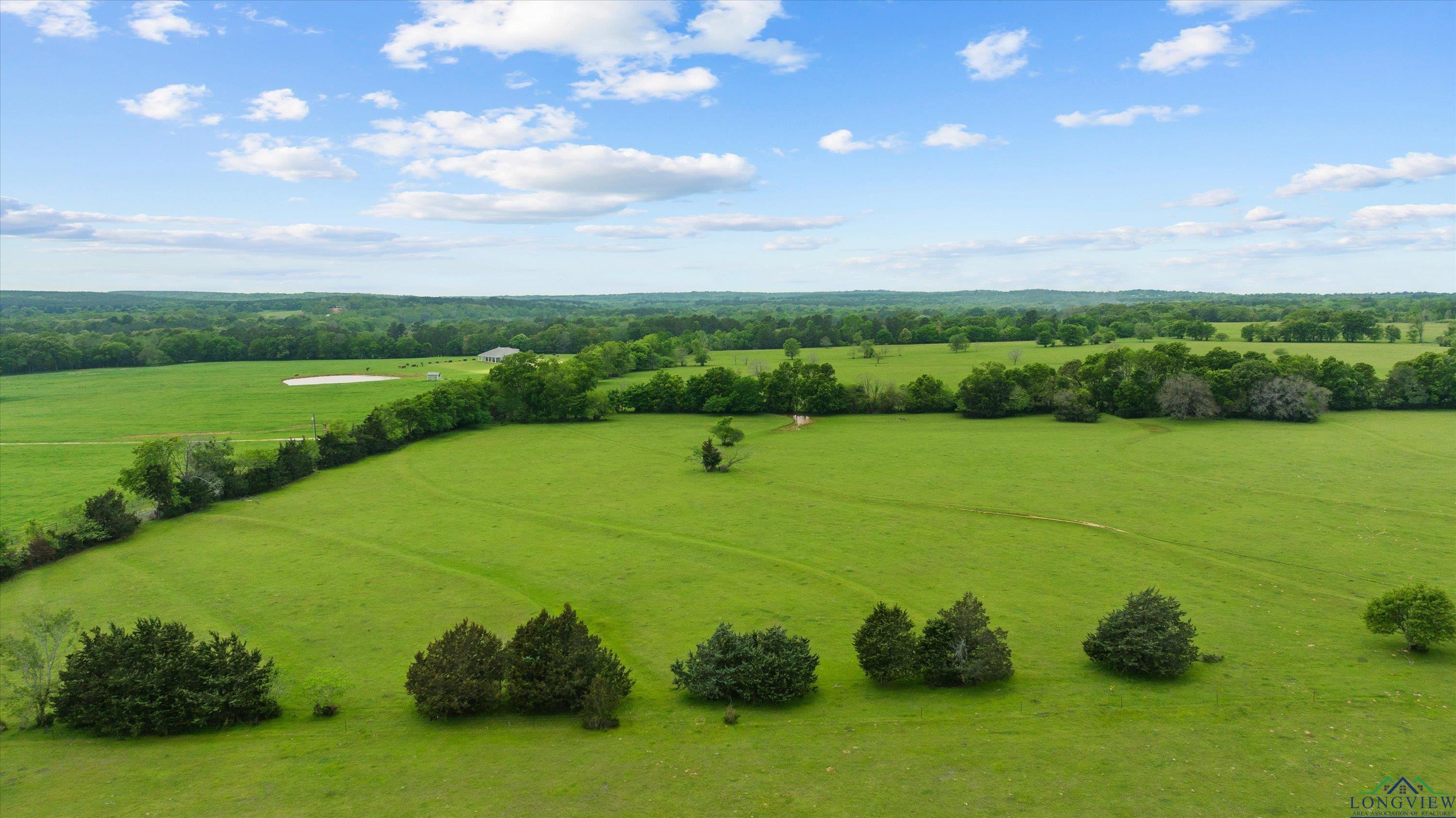 TBD County Road 477, Lindale, Texas image 5