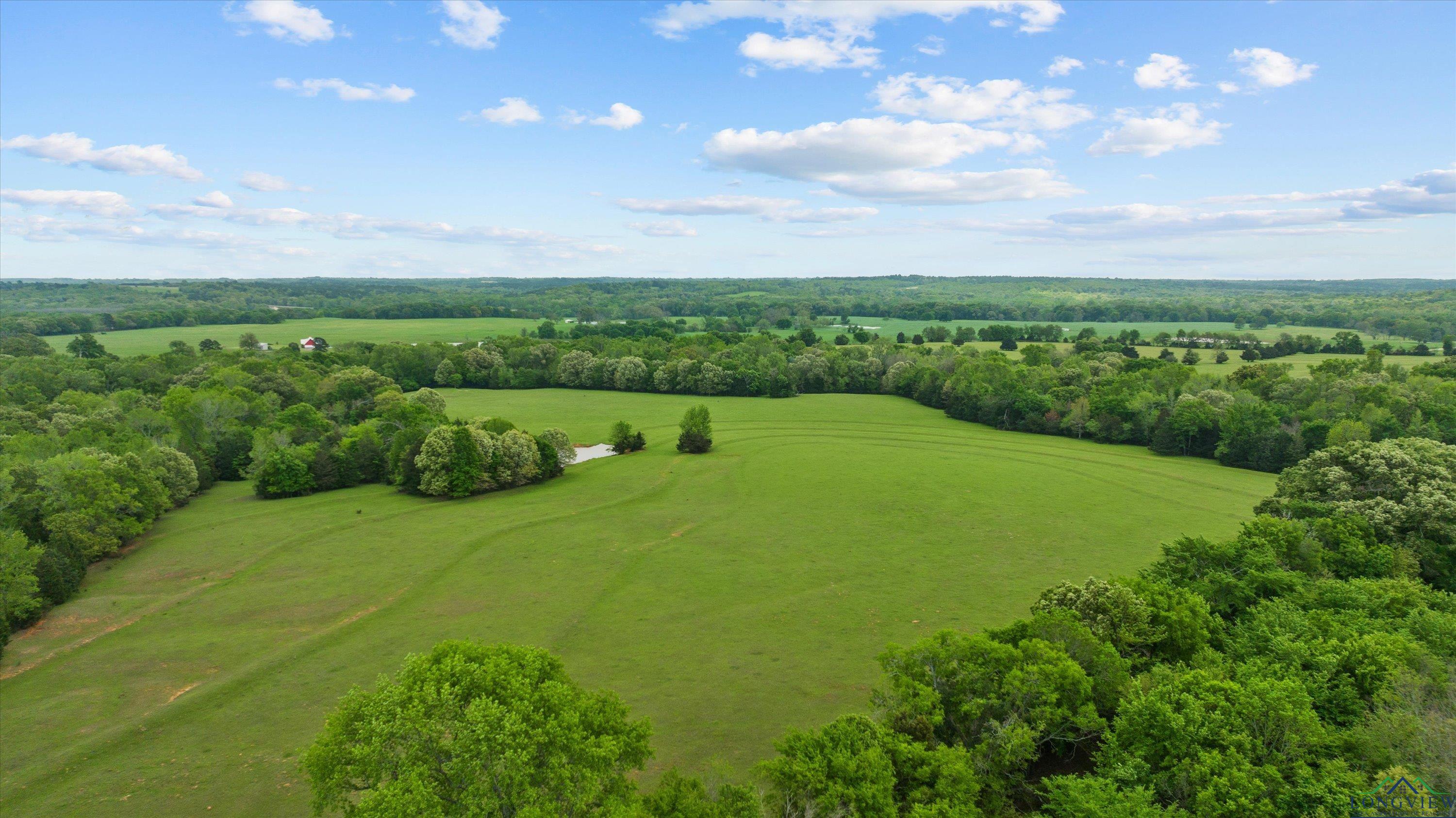 TBD County Road 477, Lindale, Texas image 16