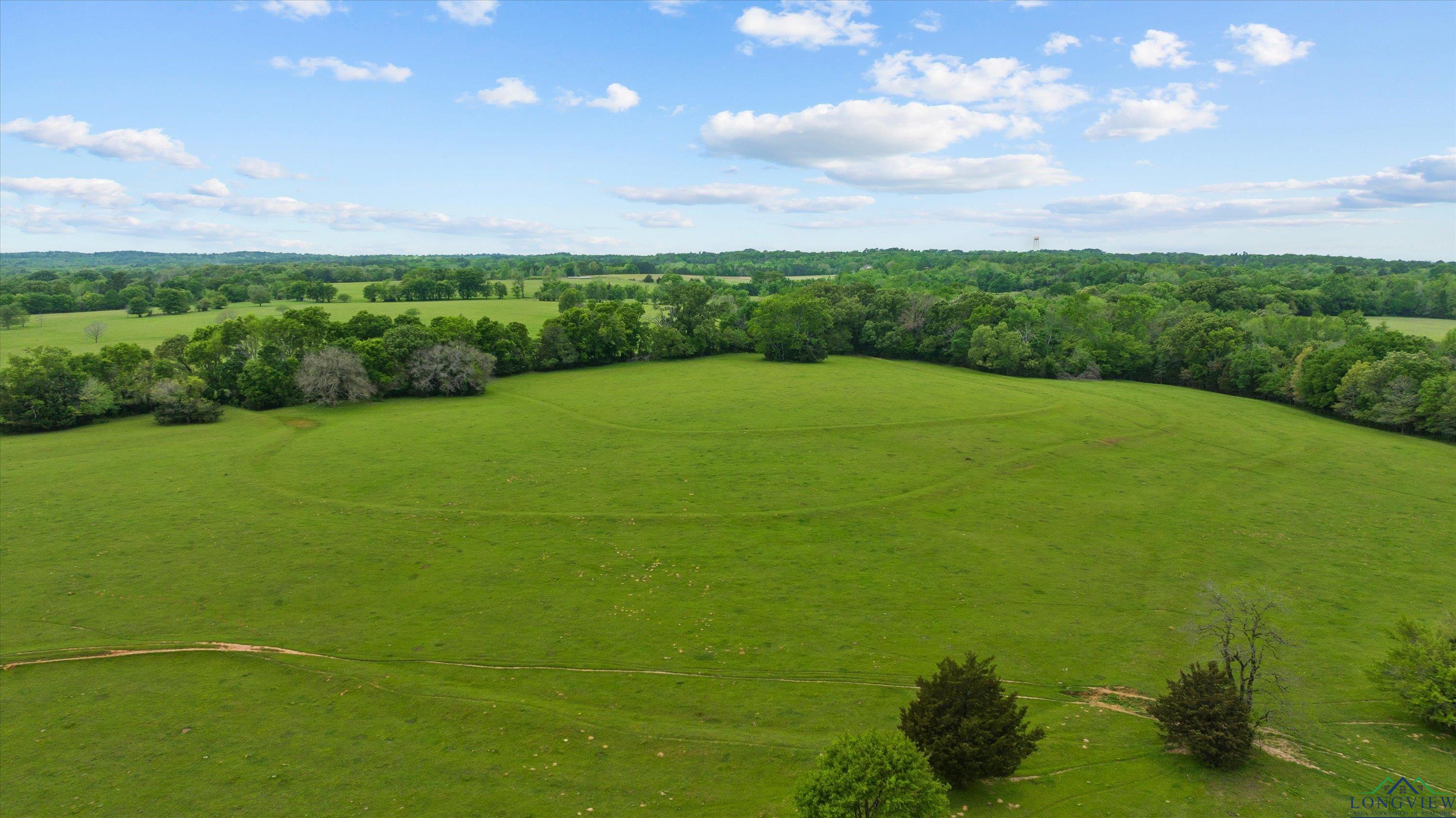 TBD County Road 477, Lindale, Texas image 6