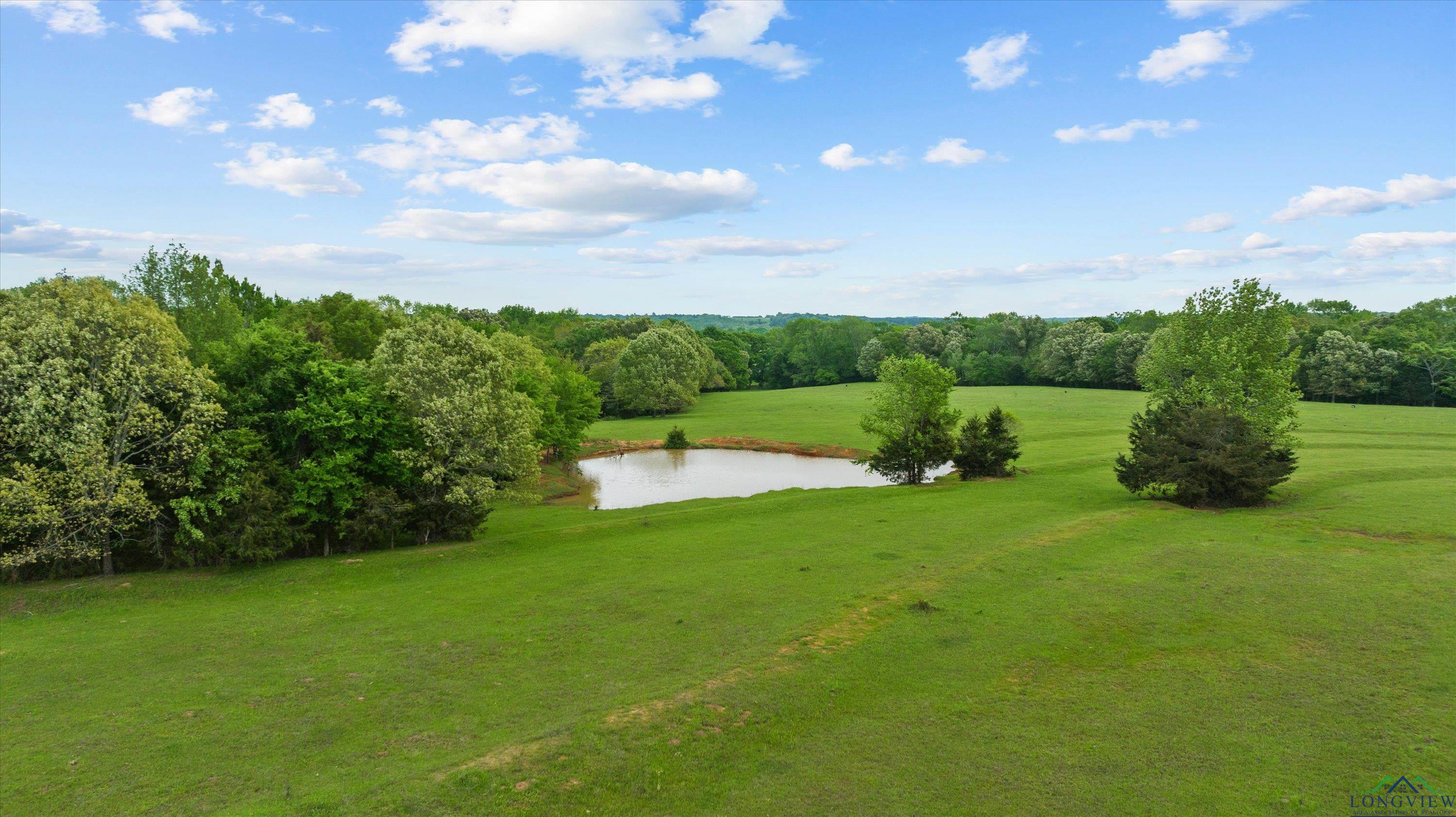 TBD County Road 477, Lindale, Texas image 15