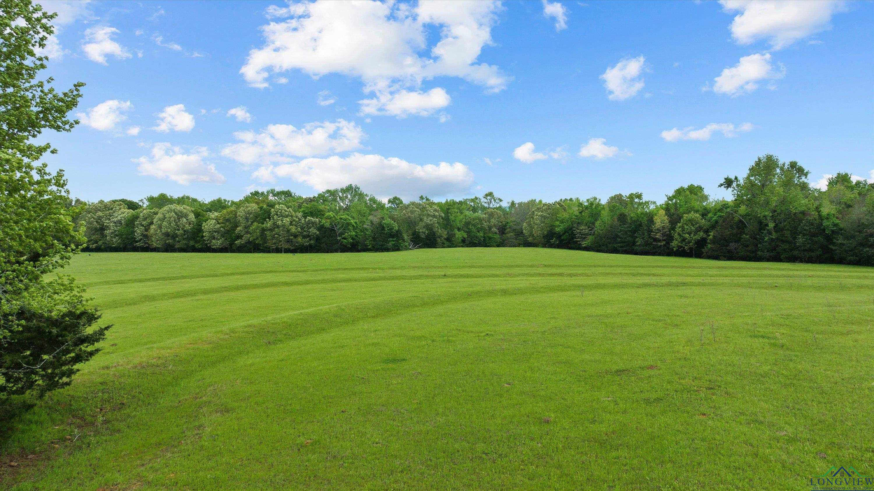 TBD County Road 477, Lindale, Texas image 4