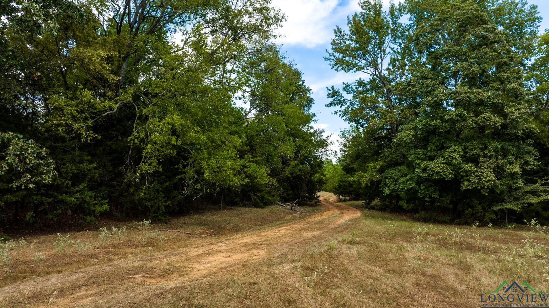 TBD Cr 2320, Pittsburg, Texas image 10