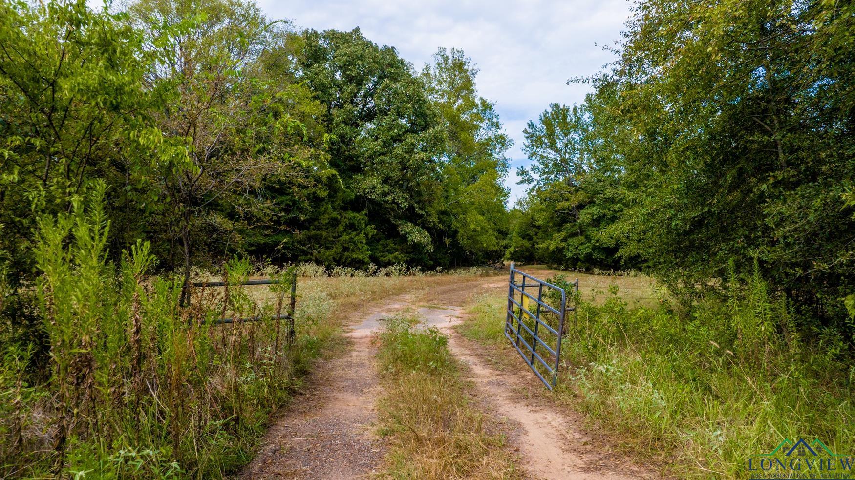 TBD Cr 2320, Pittsburg, Texas image 11